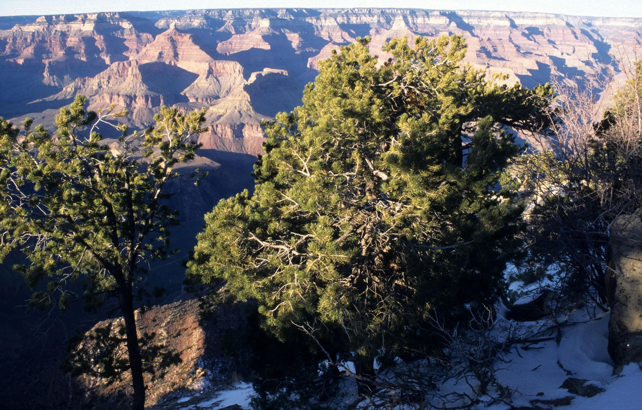 ARIZONA - GRAND CANYON NATIONAL PK (30).jpg