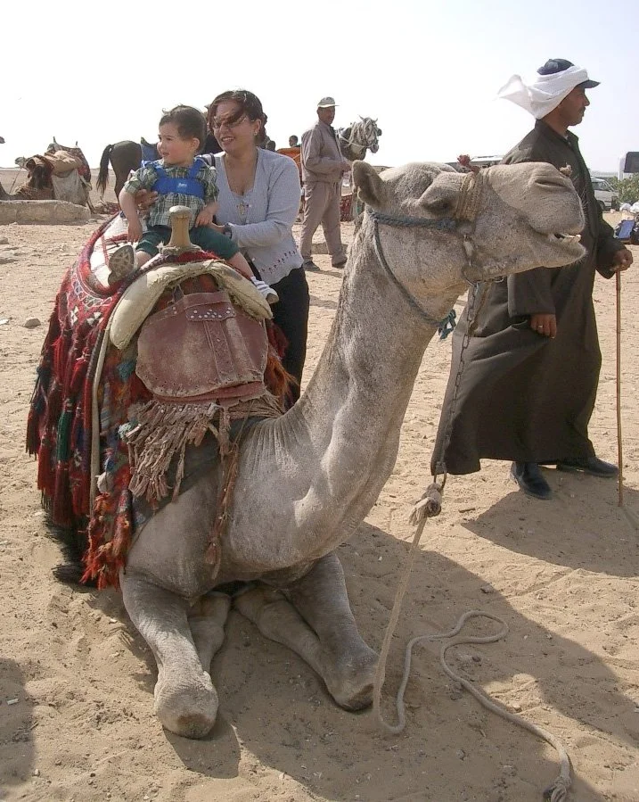 PYRAMIDS - CAMEL RIDES ON GIZA PLATEAU (16).JPG