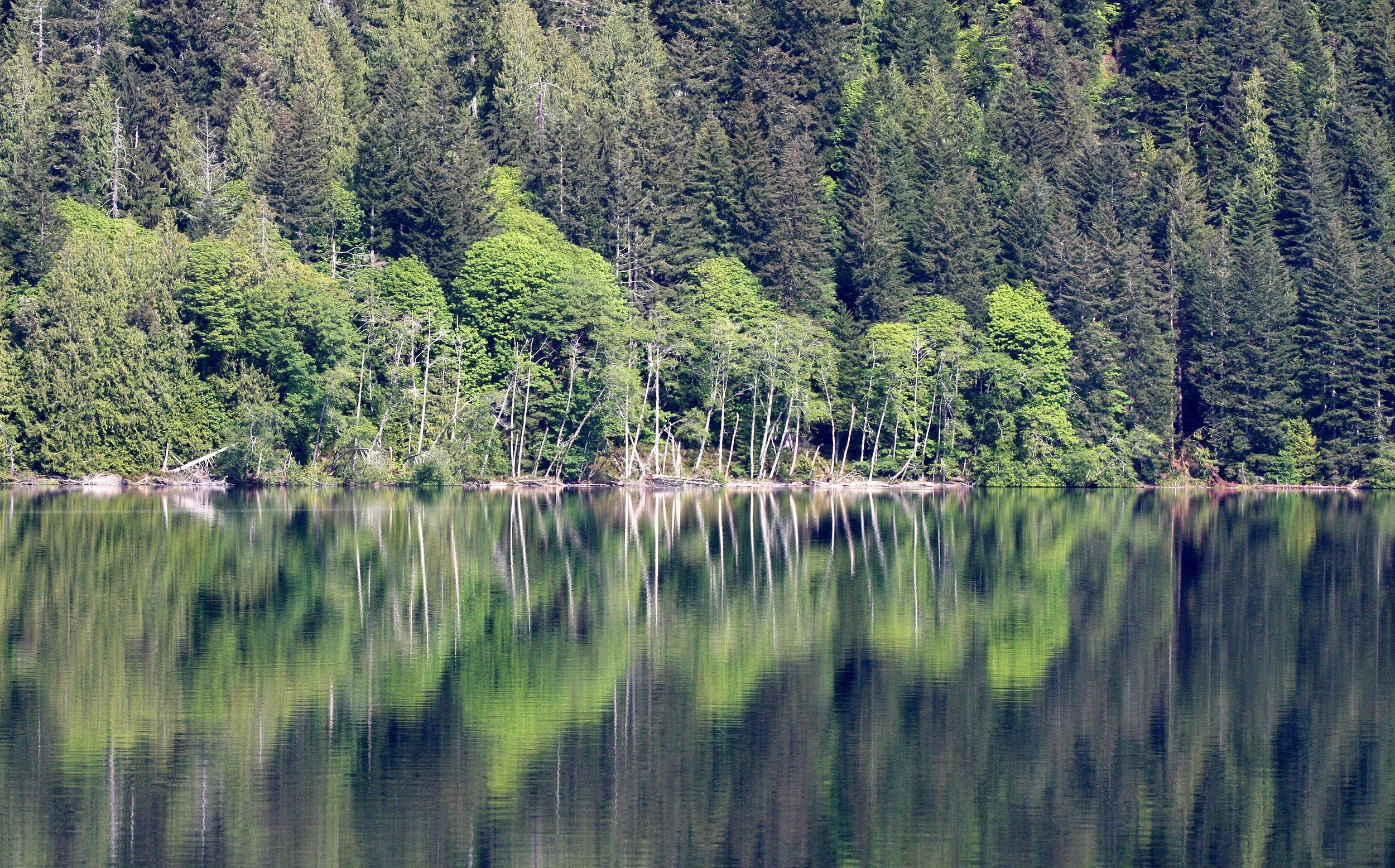 CRESCENT LAKE - MIRROR IMAGES.JPG