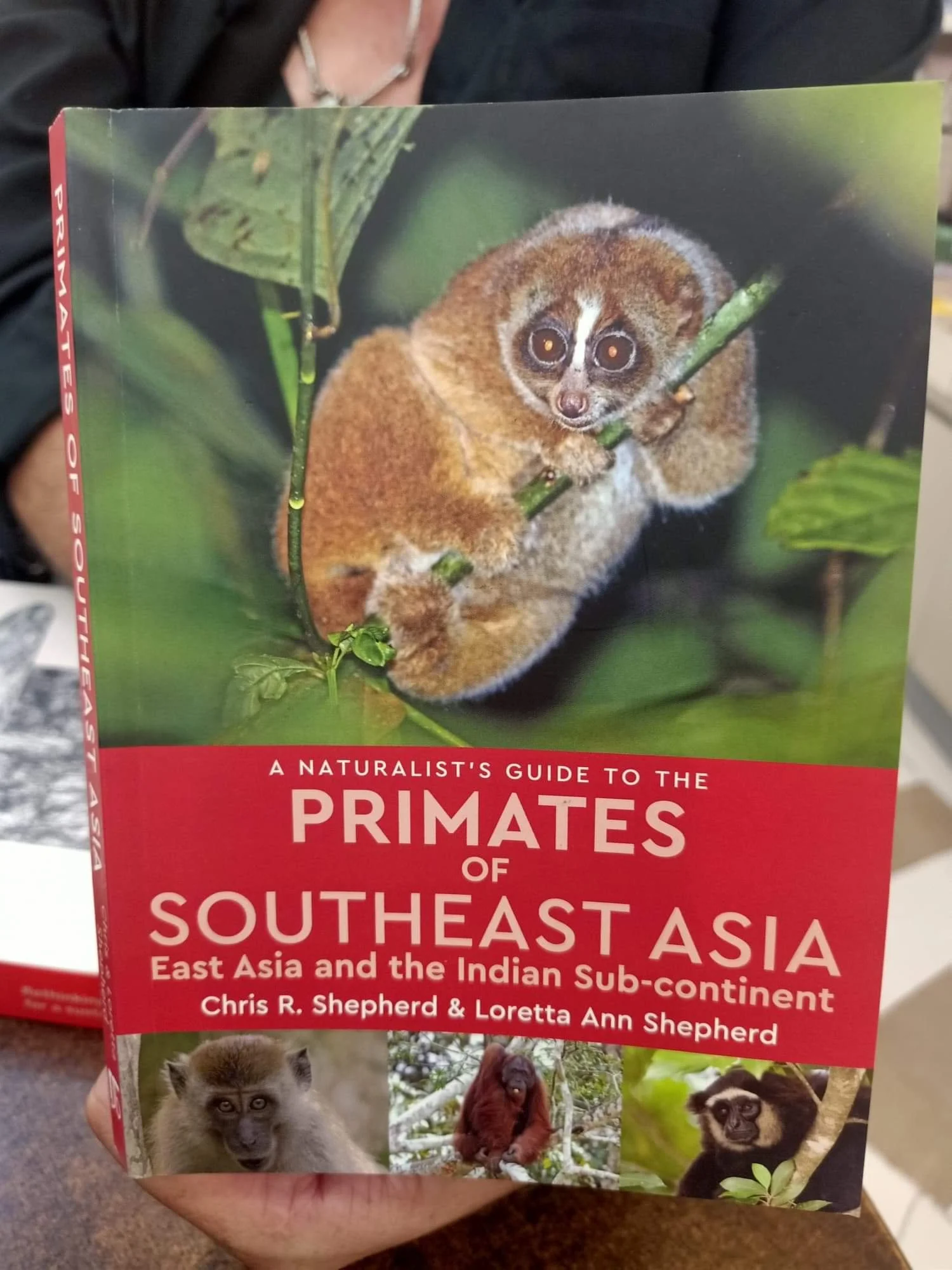 2019-2020 Misc Pictures from Other People - Family, Kanchanaburi, Lanta, Liana and more (152).jpeg
