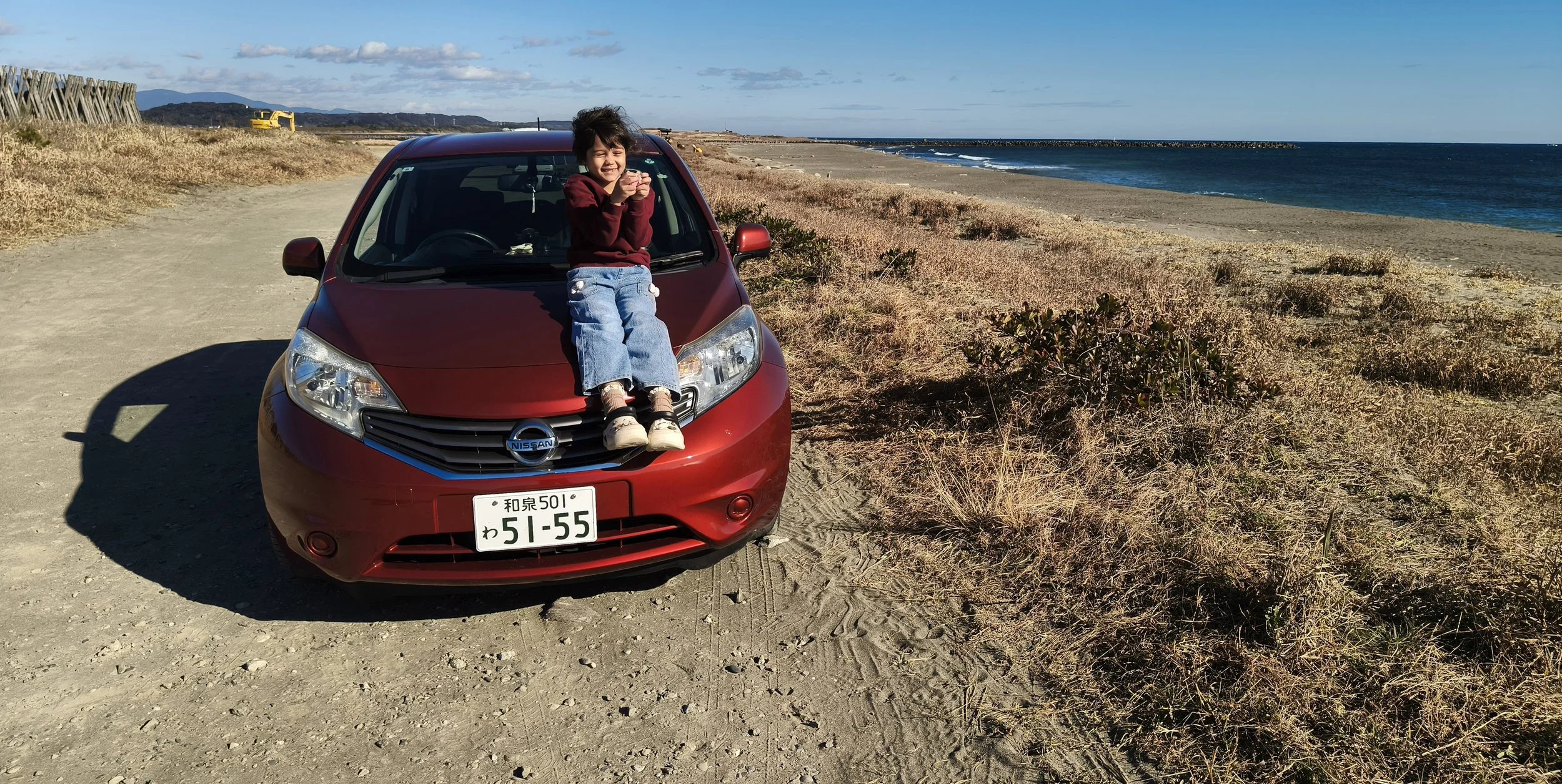 Shimotonda Sadowaracho Birding Ponds Miyazaki Kyushu Japan (137).jpg