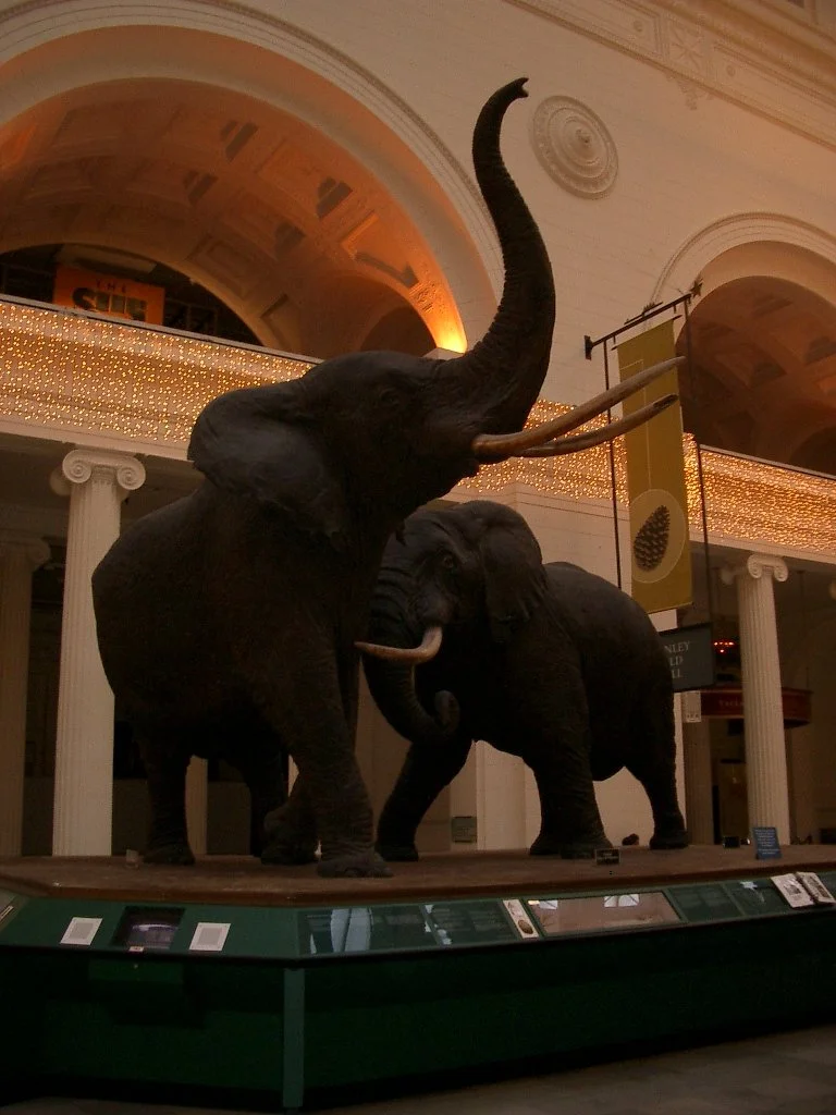 2003-12-25 CHRISTMAS IN CHICAGO (55).JPG