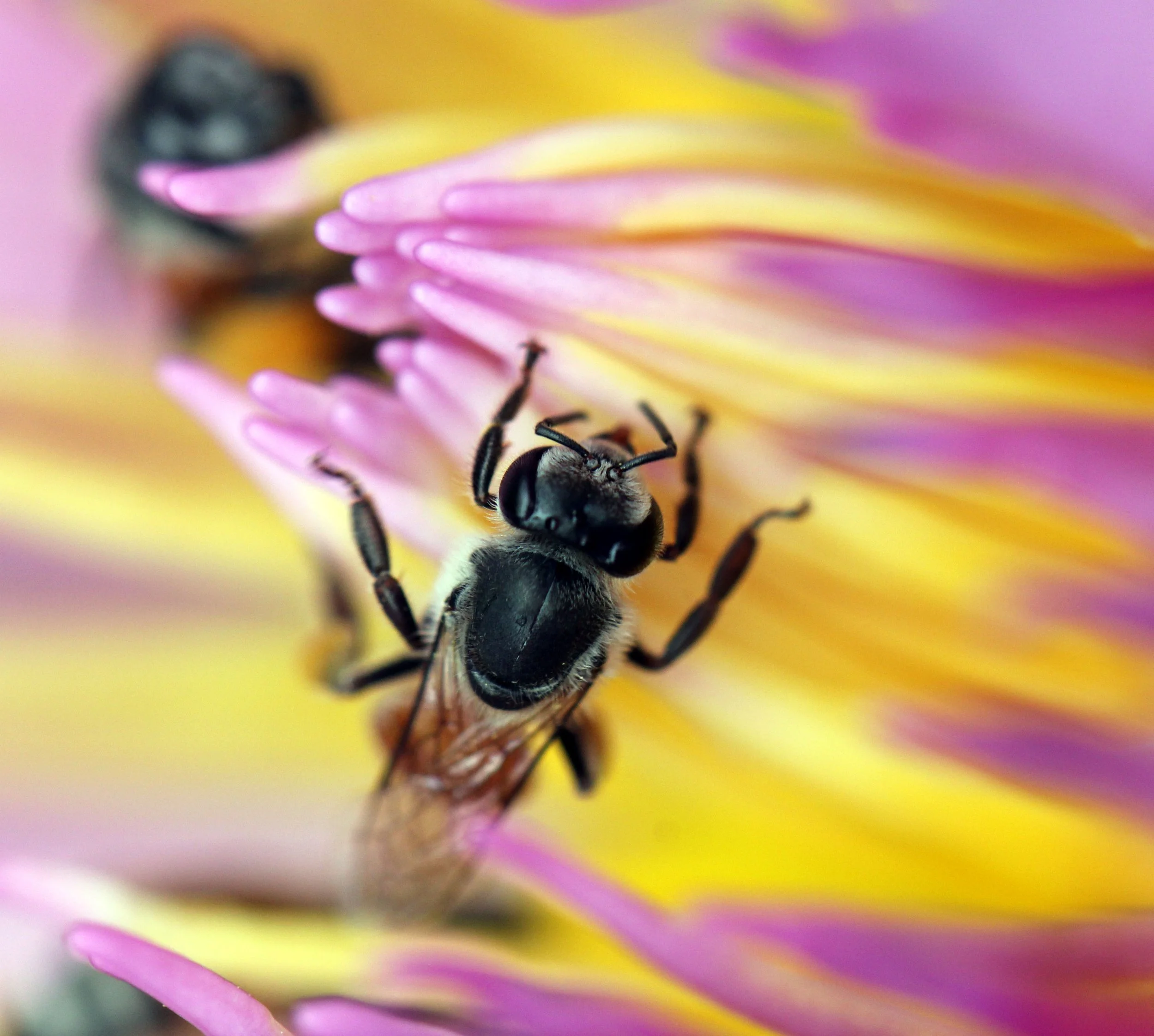 2013 Cha'am and Petchaburi with Family & Friends (57).JPG