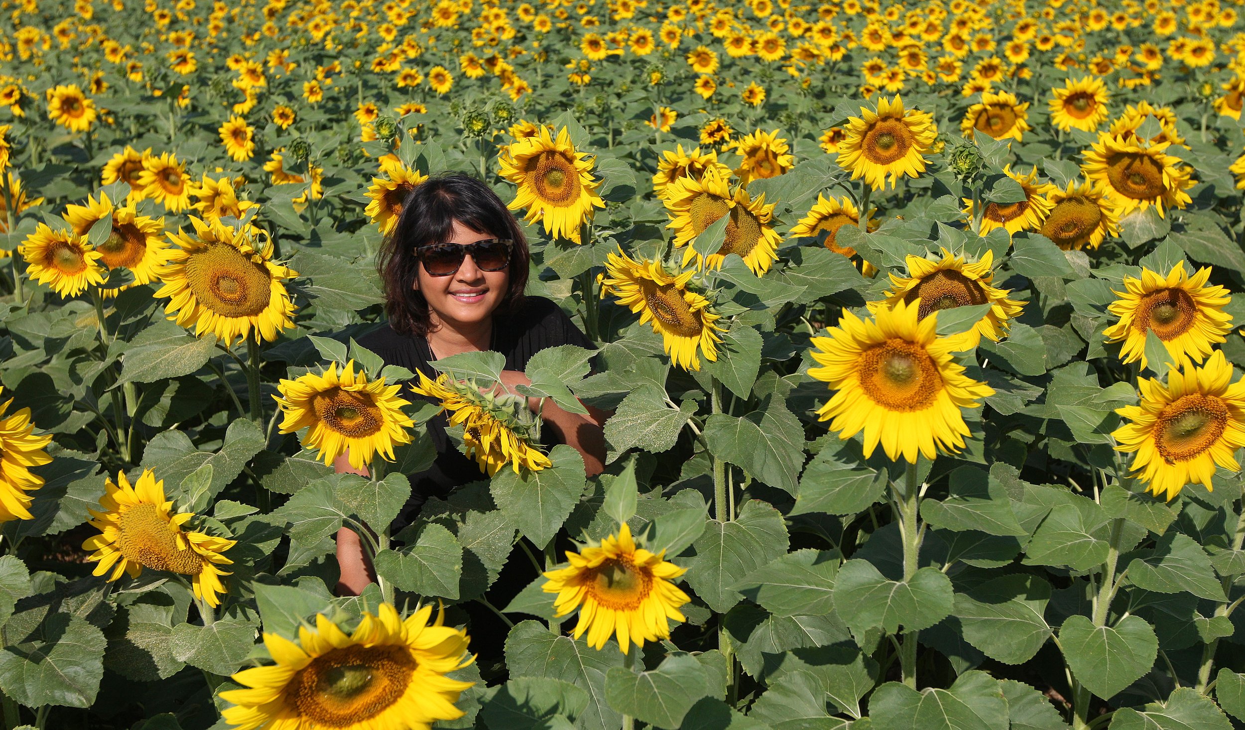 VERCORS NATIONAL PARK FRANCE (67).JPG