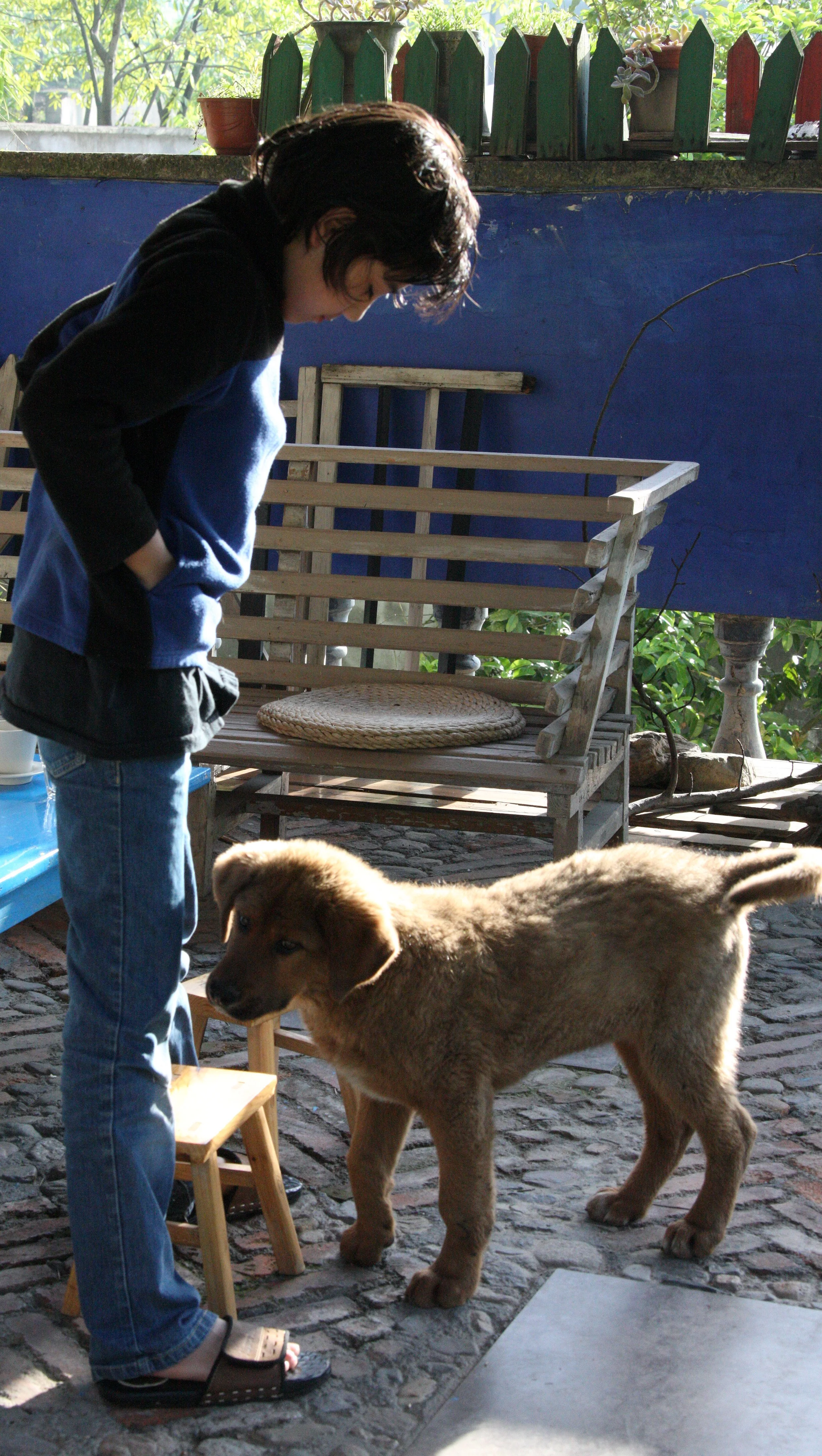 HIKERS INN - MAXIAOXIANG ZHEJIANG PROVINCE (7).JPG