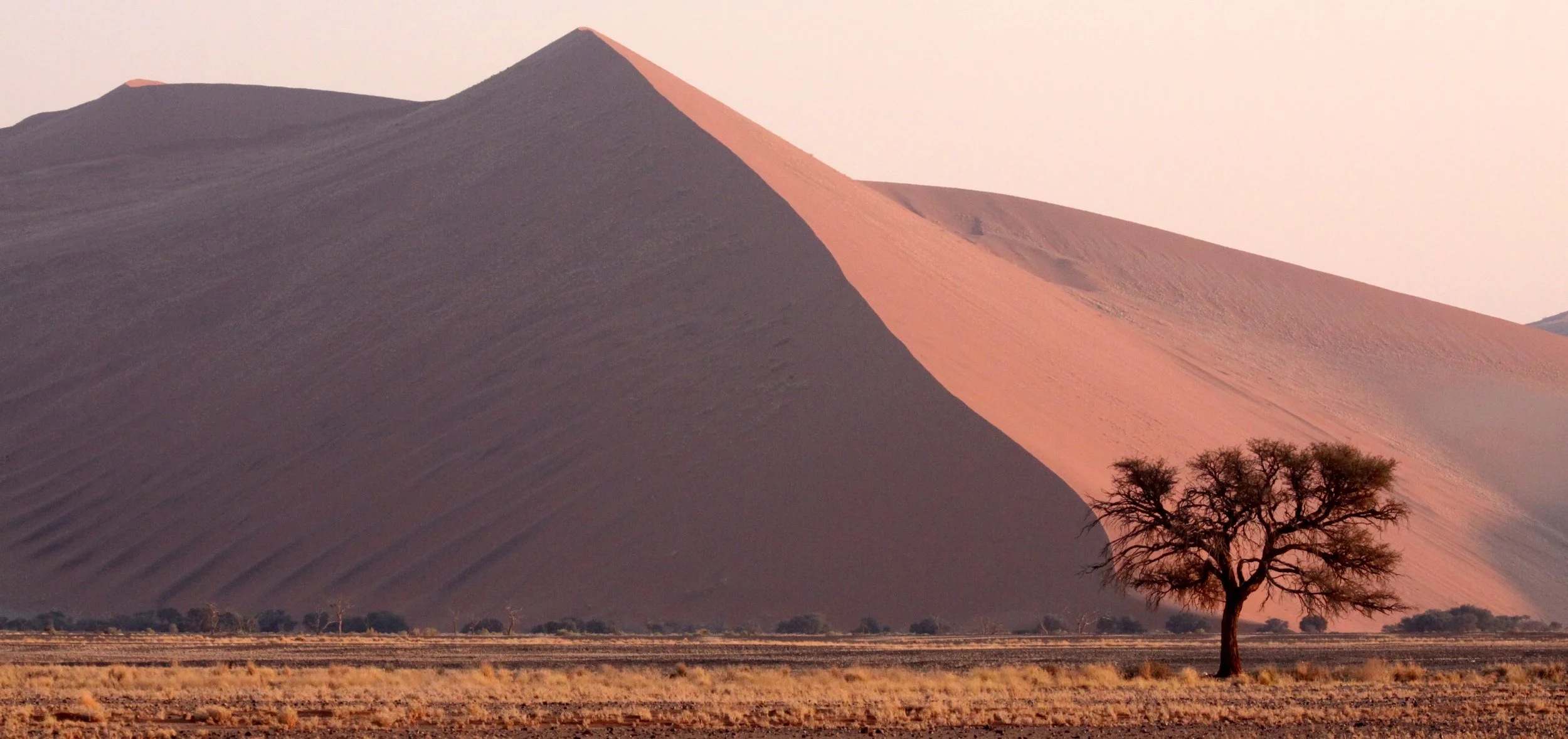 SOSSUSVLEI, NAMIB NAUKLUFT NATIONAL PARK, NAMIBIA - SUNRISE AT DUNE 45 (29).JPG