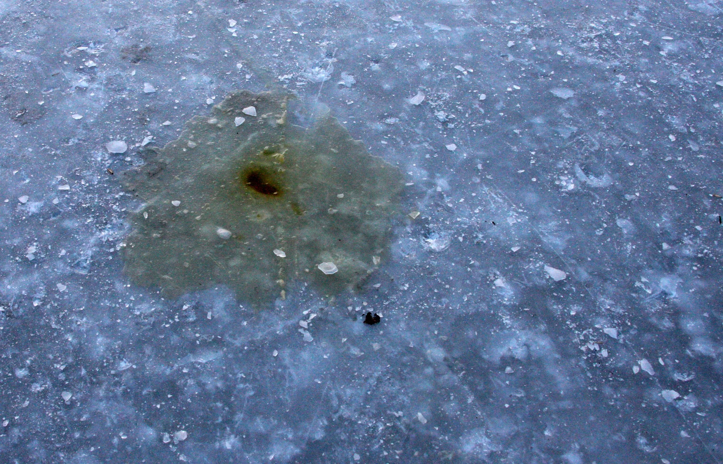 SONGHUA RIVER HARBIN CHINA - ACTIVITY ZONE! (70).JPG