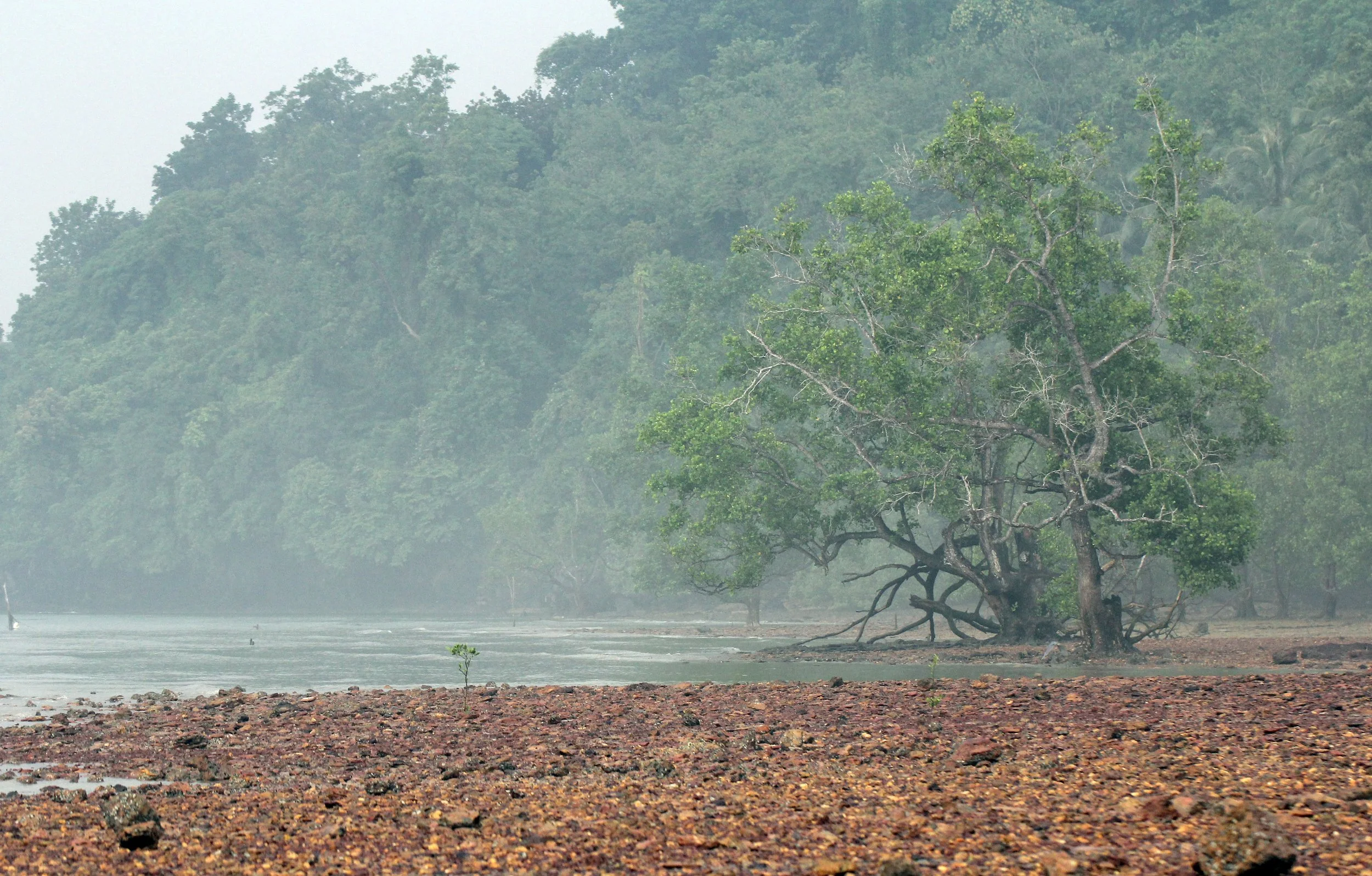 2015 Koh Lanta October Break Trip  (201).JPG