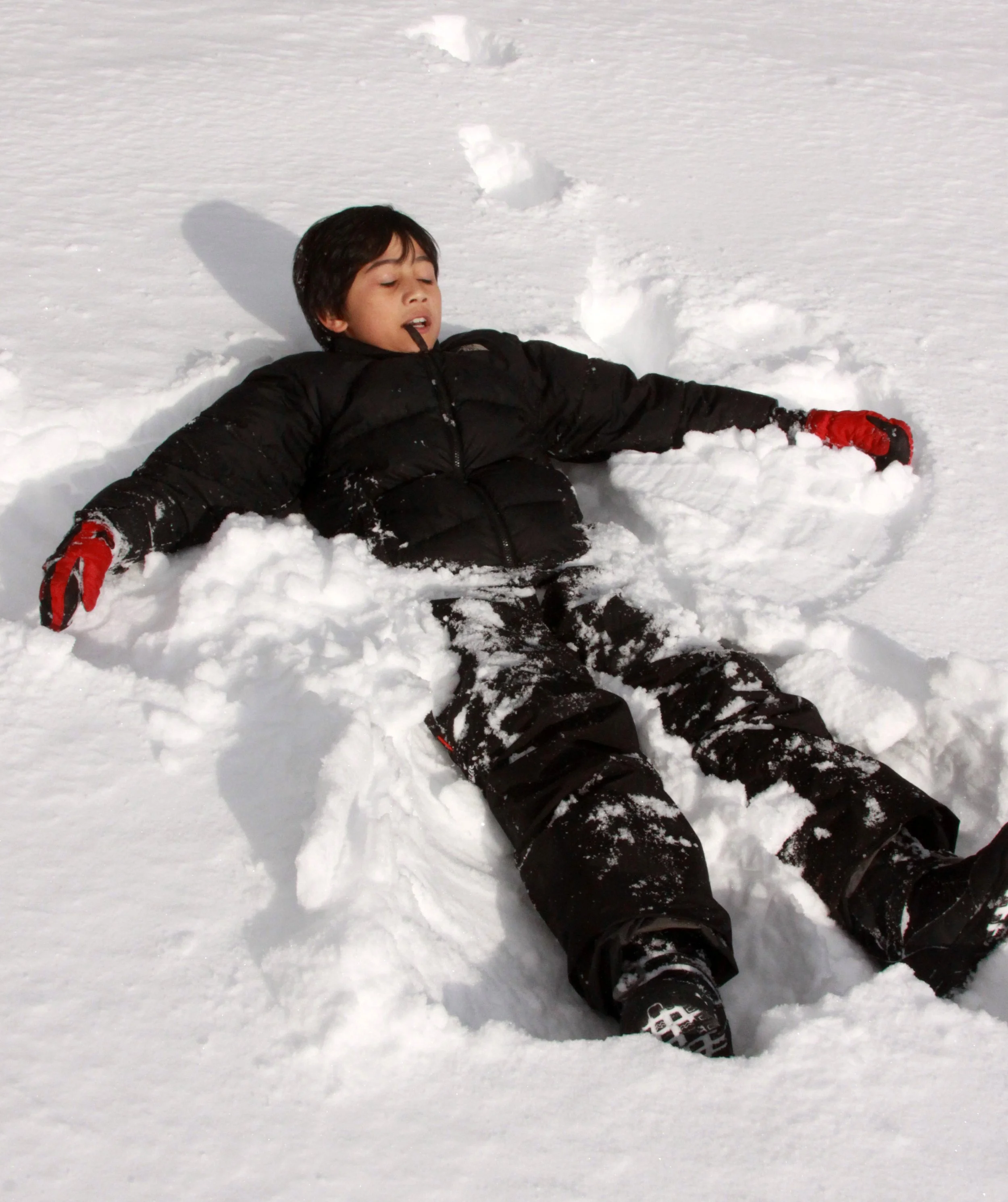MOUNT ASAMA - JOSHIN'ETSUKOGEN NATIONAL PARK JAPAN (55).JPG