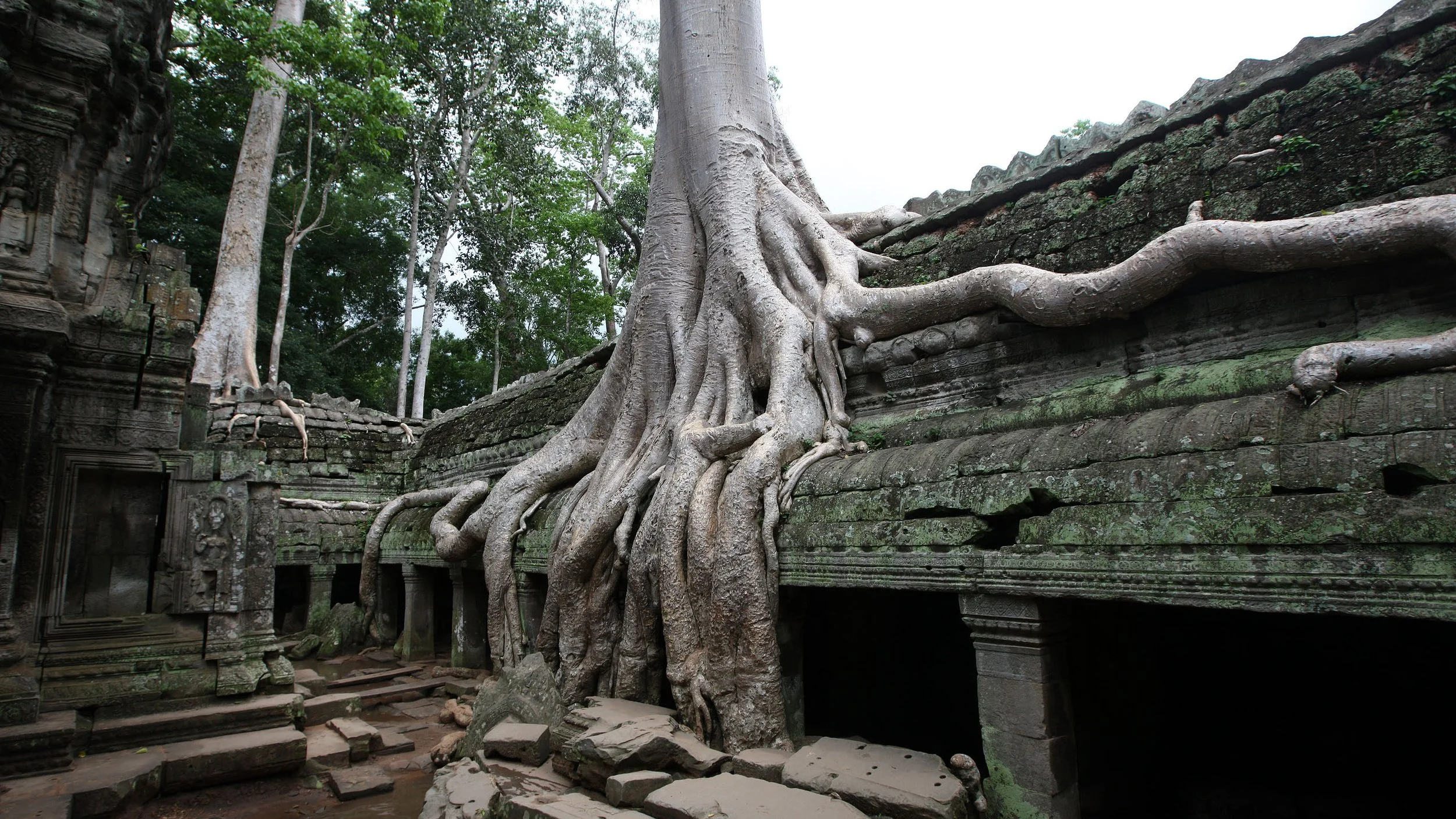 TA PROHM TEMPLE CAMBODIA - JULY 2010 (25).JPG