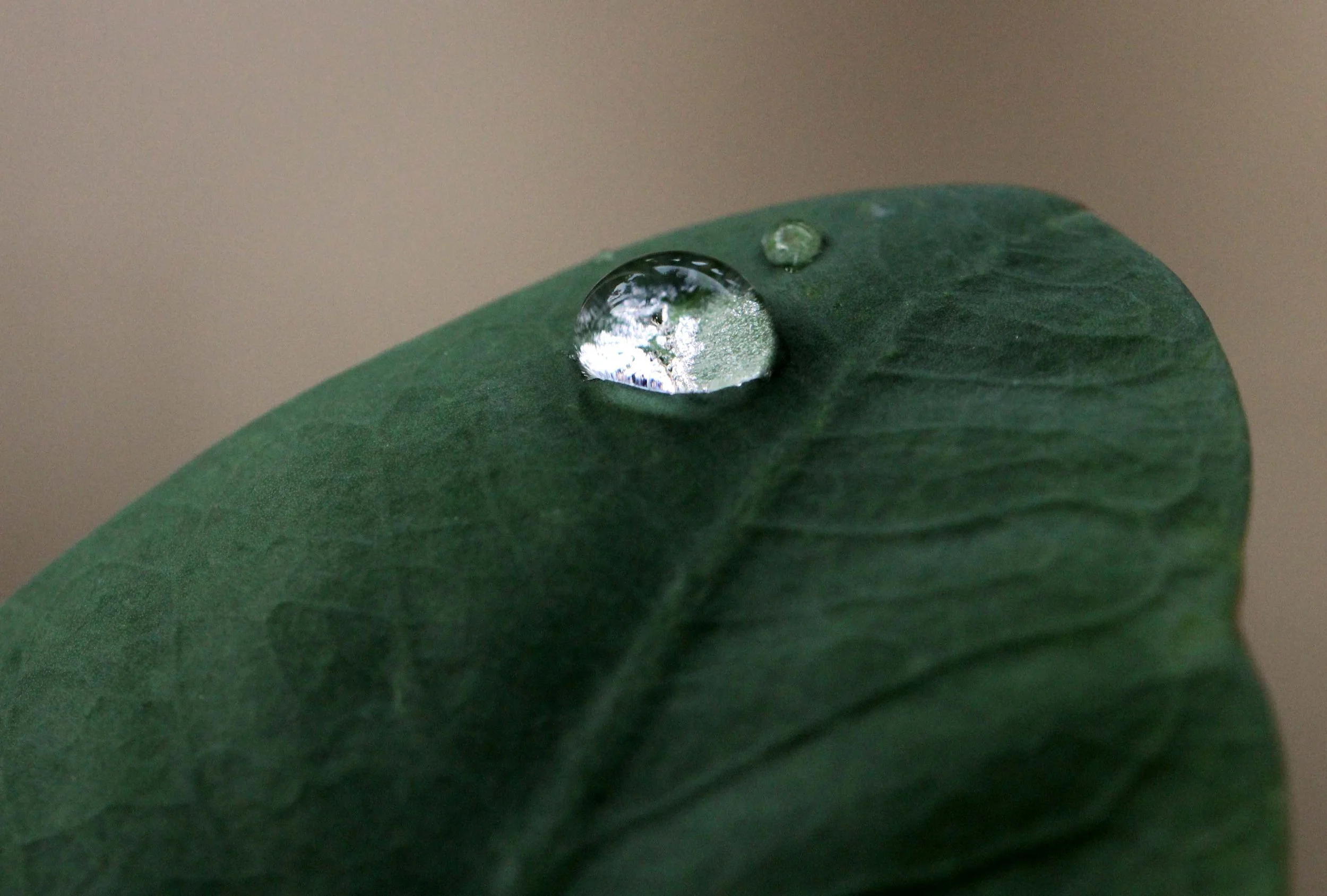 2013 in Nakhonsithammarat and some Krabi with Family (59).JPG