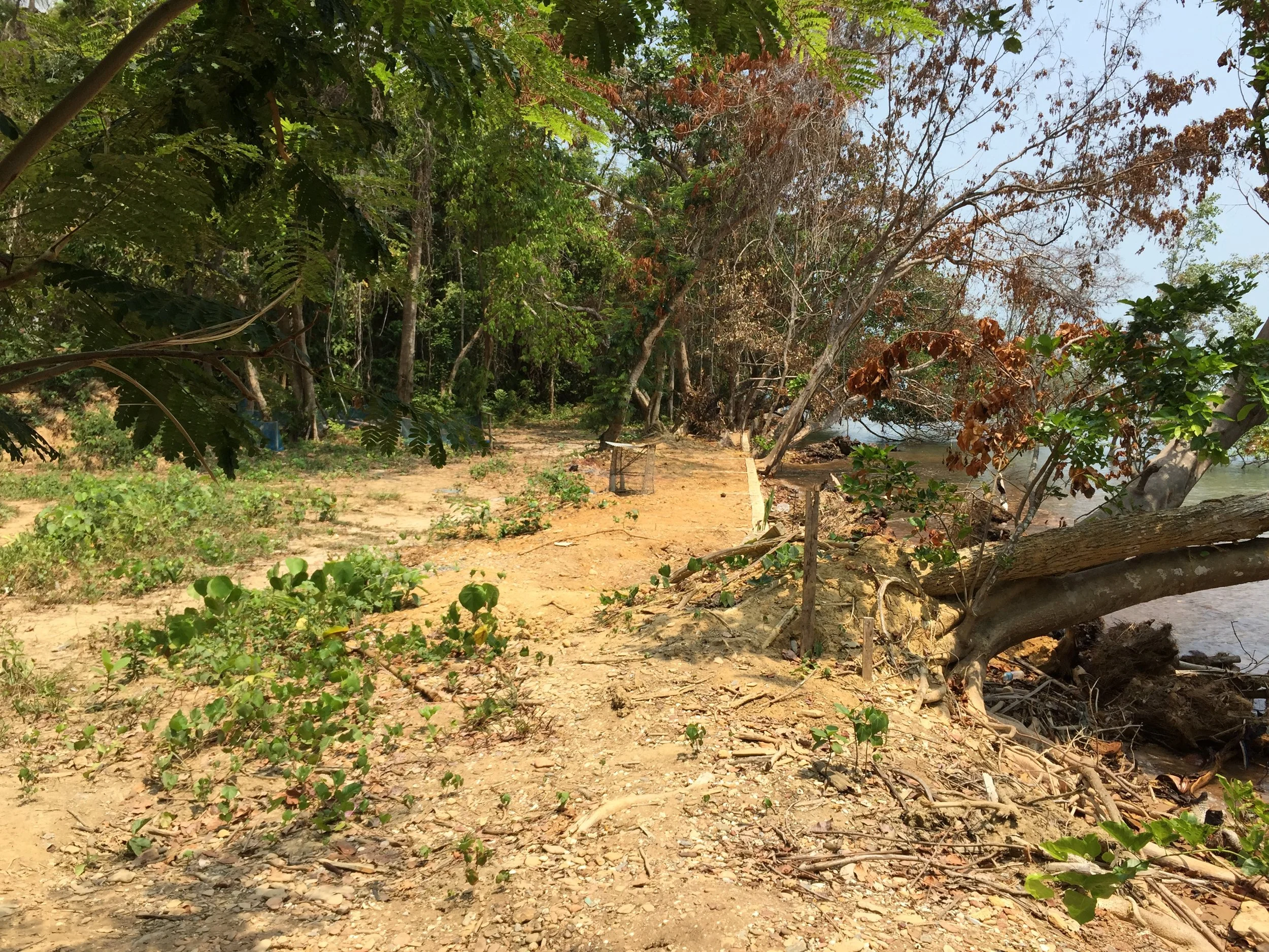 2015 Lanta Project and Scenes (22).JPG