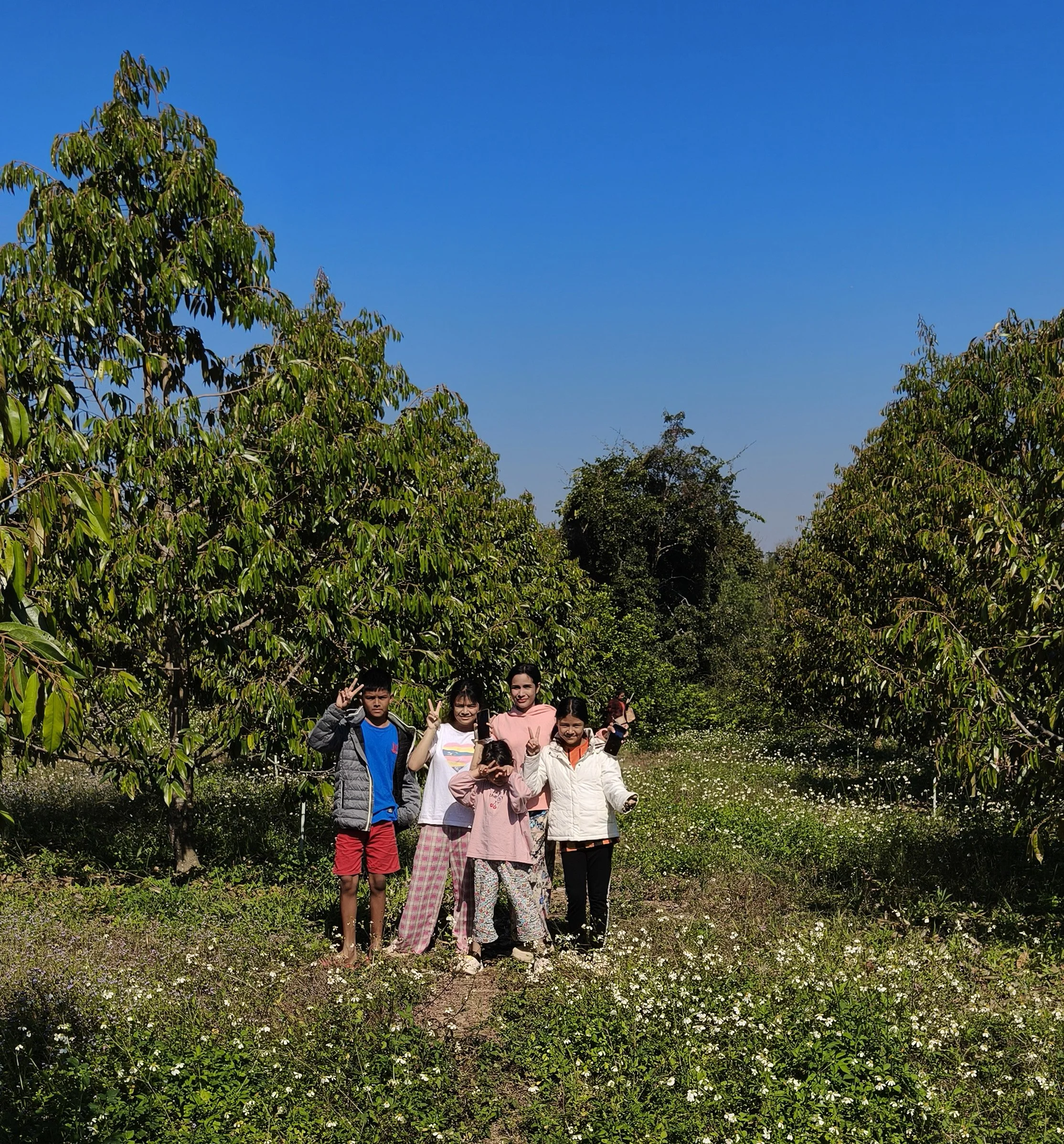 Ngao Durian Farm January 1 2026 (12).jpg