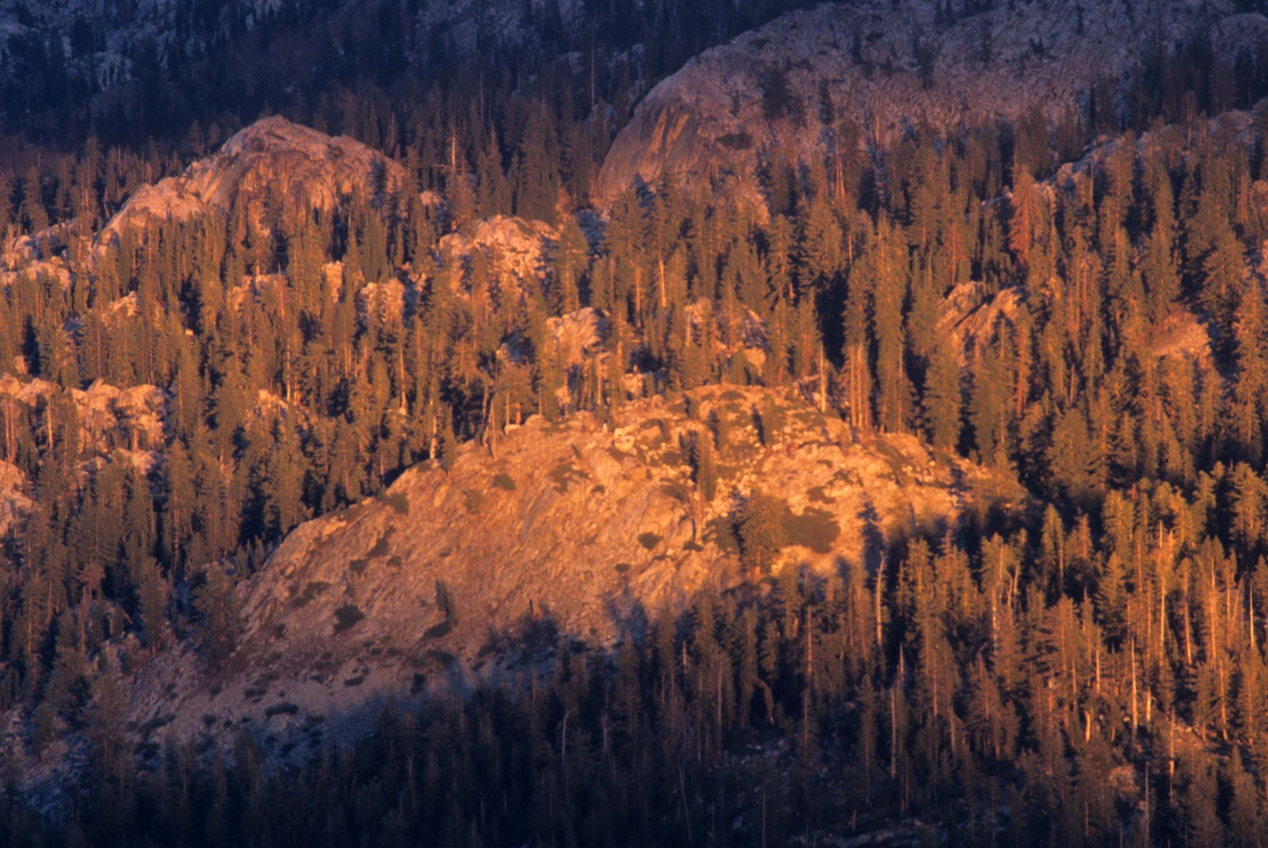 CALIFORNIA - SIERRA NEVADA MOUNTAINS (12).jpg