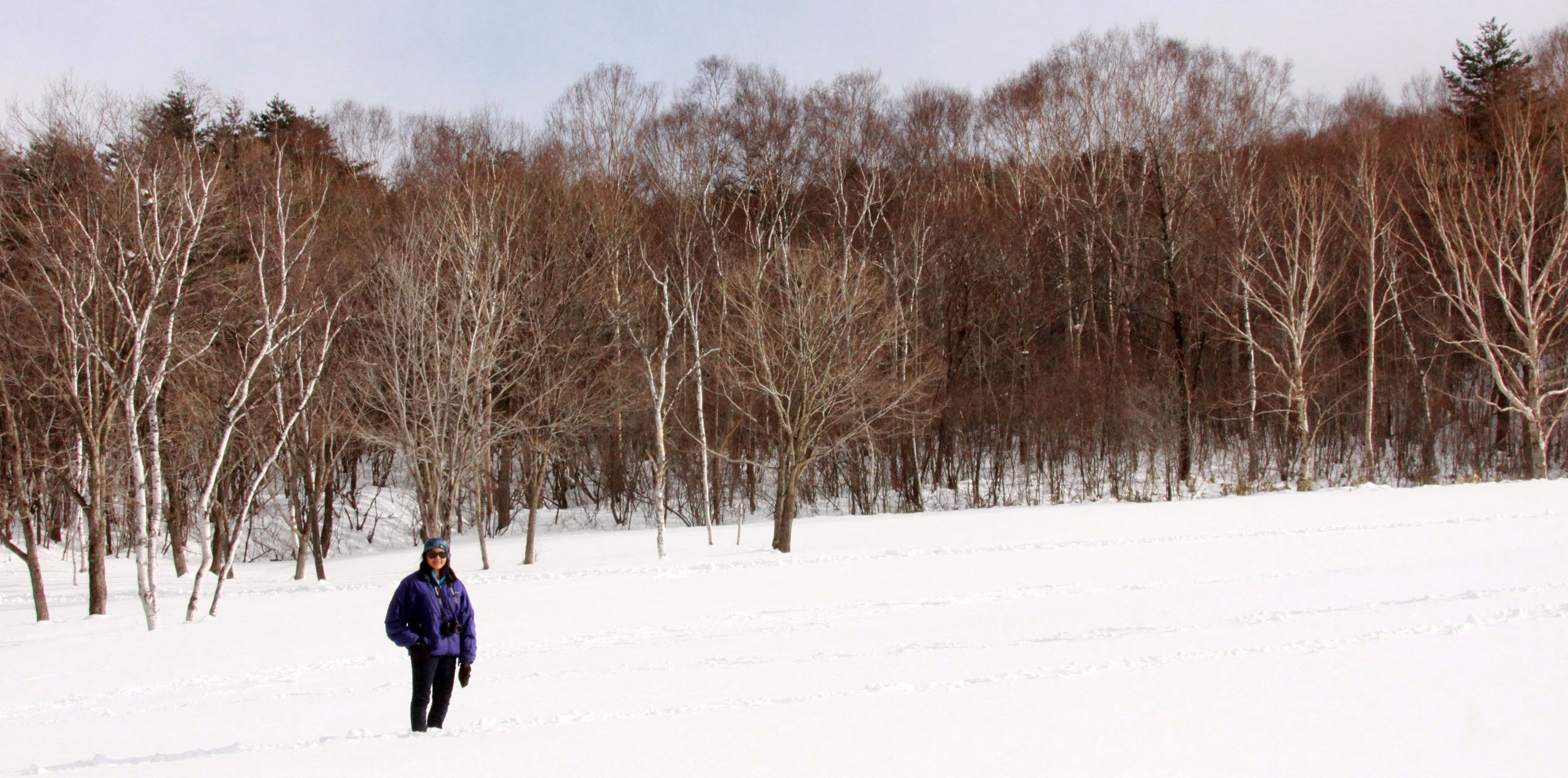 MOUNT ASAMA - JOSHIN'ETSUKOGEN NATIONAL PARK JAPAN (59).JPG