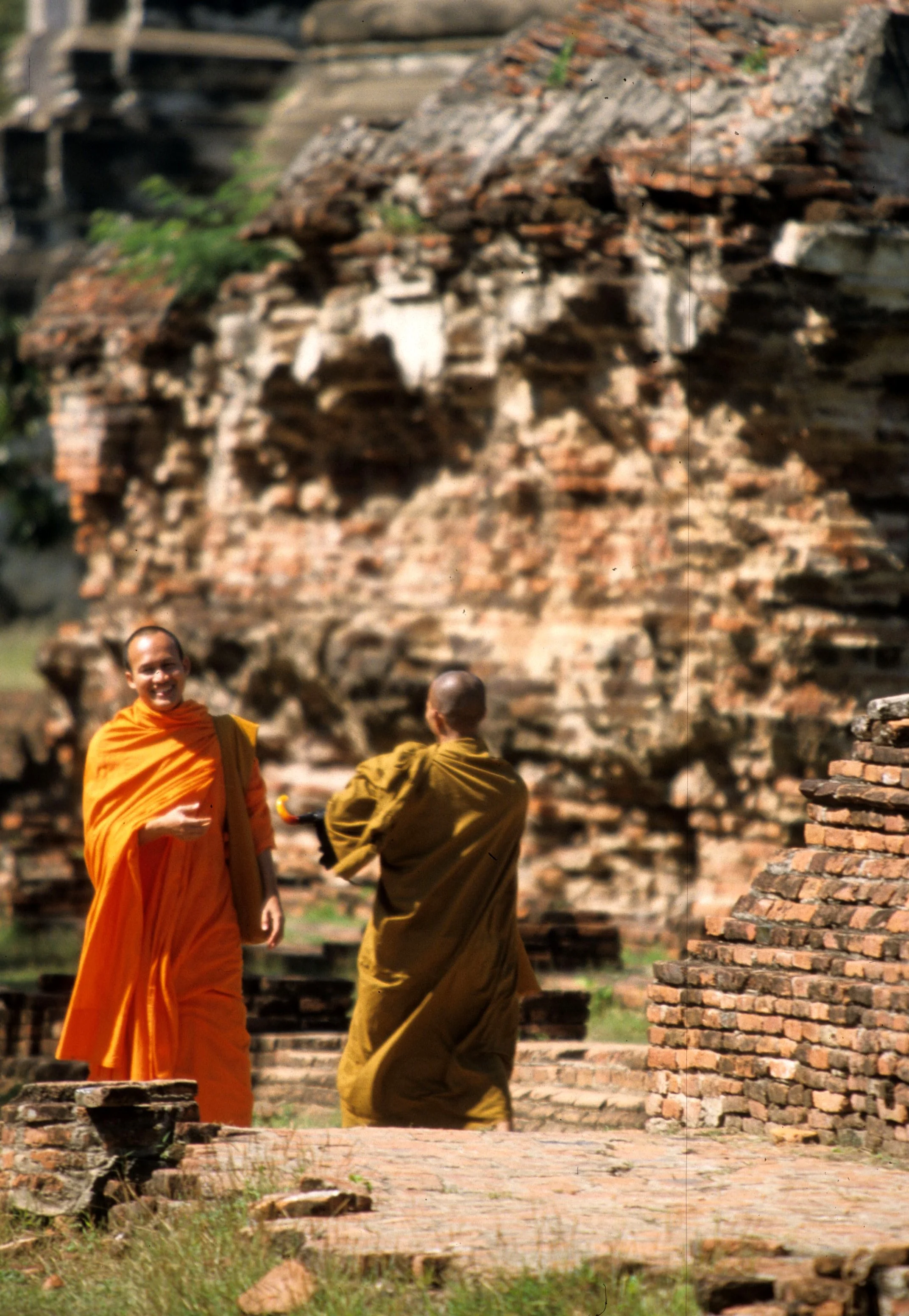 AYUDTHAYA - MONKS ON A STROLL A.jpg