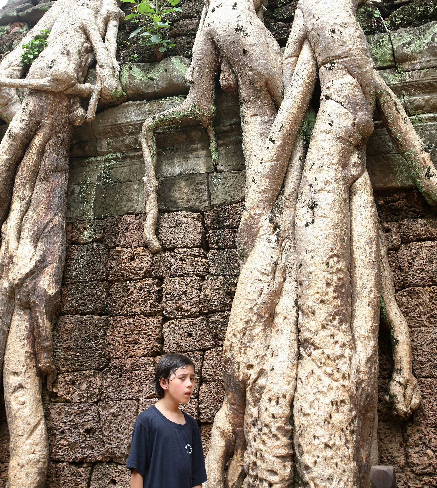 TA PROHM TEMPLE CAMBODIA - JULY 2010 (16).JPG