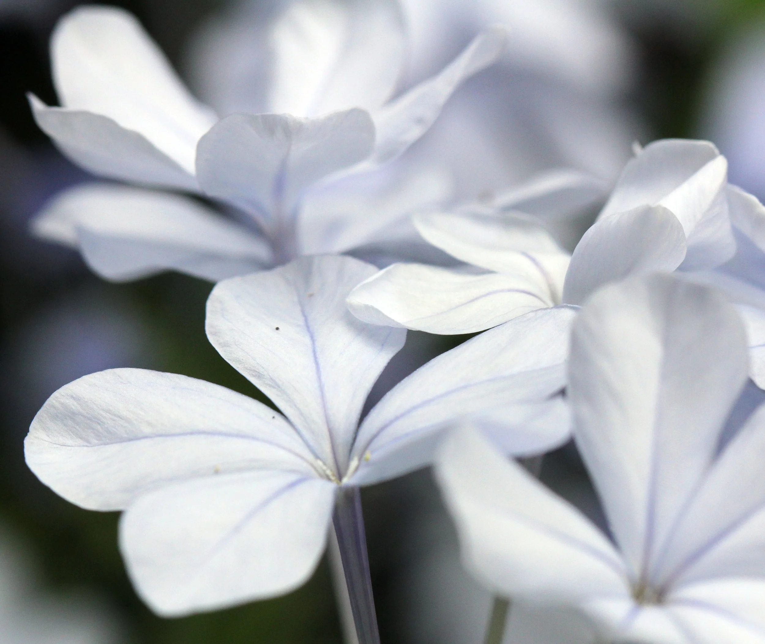 2013 Cha'am and Petchaburi with Family & Friends (7).JPG