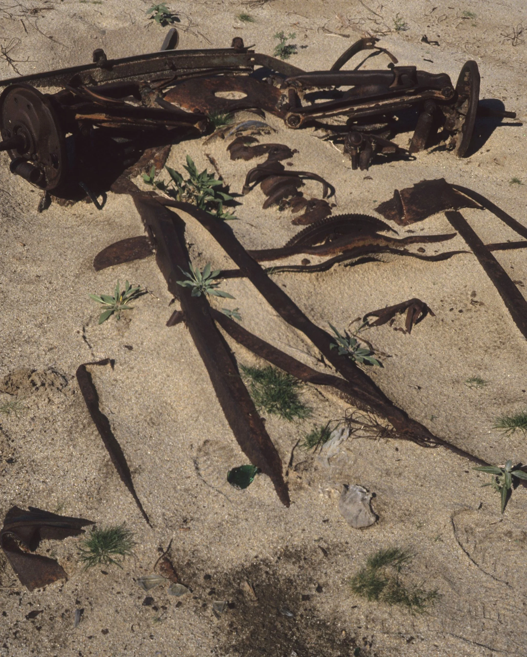 ANZA BORREGO - CAR CARCASS.jpg