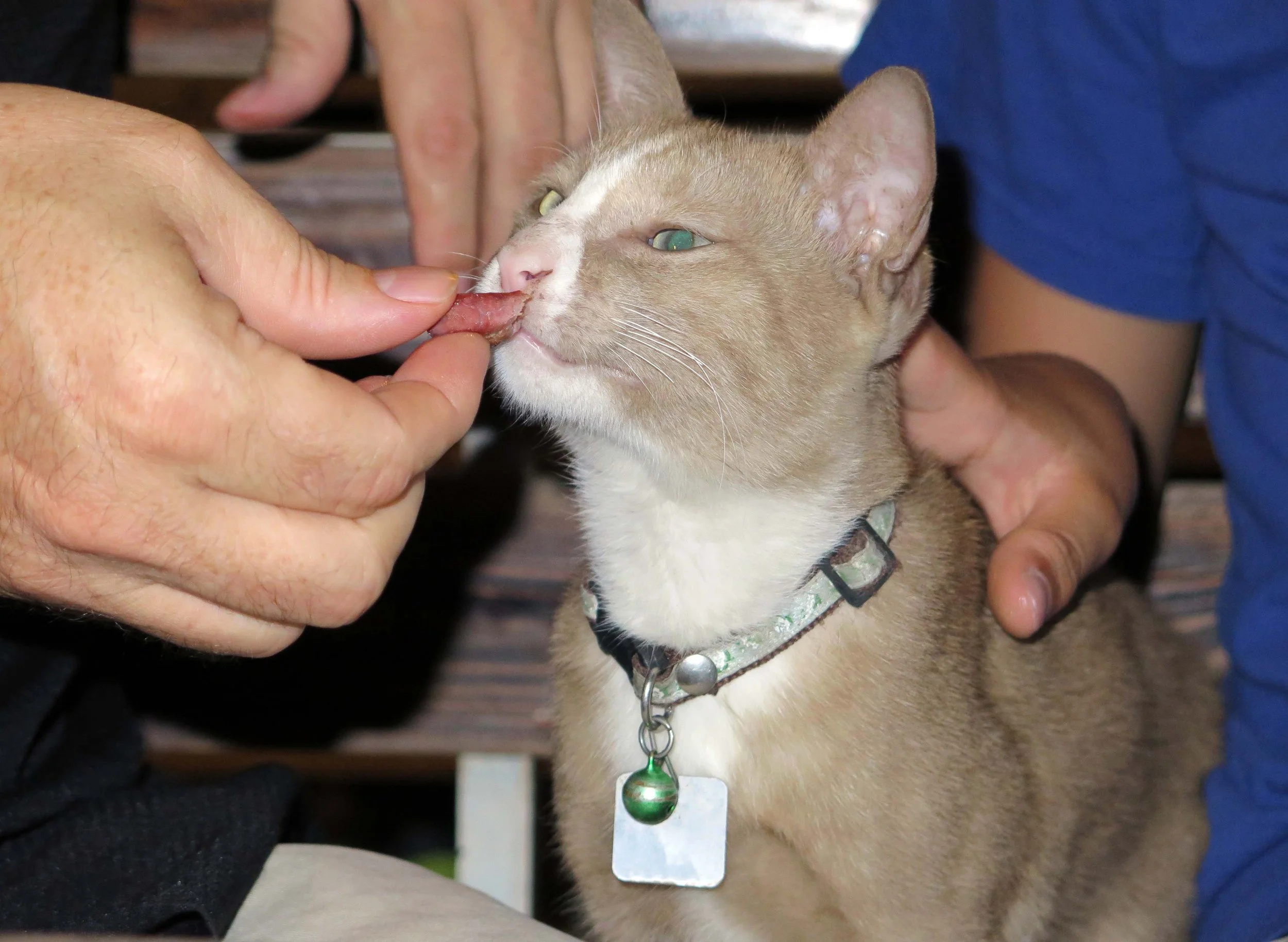 2013 - BANGKOK - NOVEMBER 2013 - MARCH 2014 (45).JPG