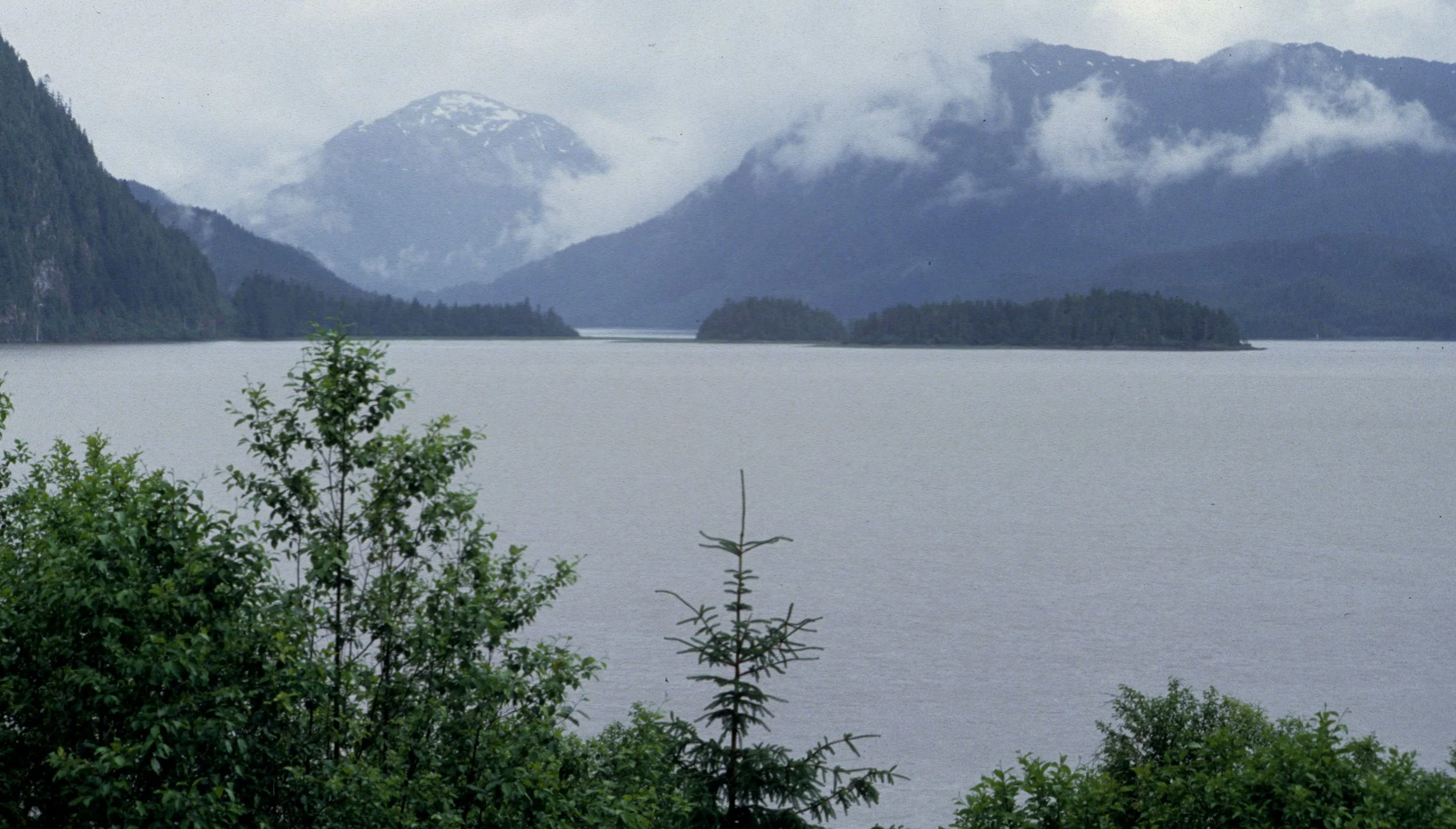 ALASKA - INSIDE PASSAGE E.jpg