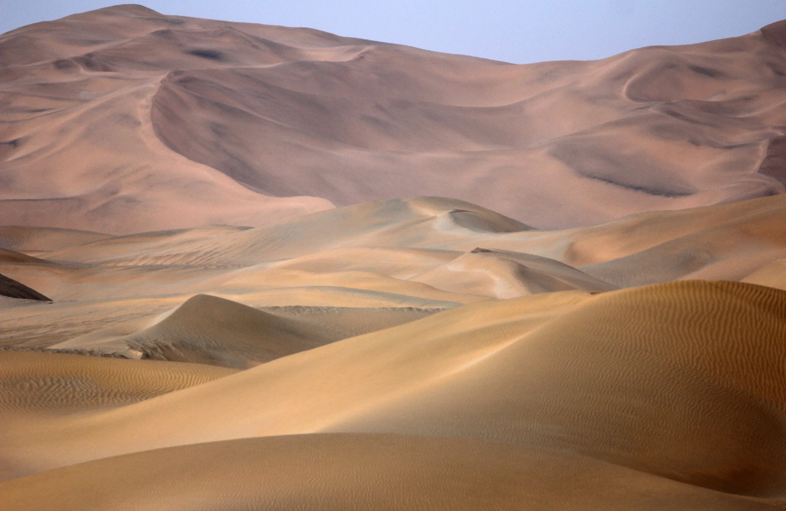 LOP NUR WILD BACTRIAN CAMEL RESERVE - XINJIANG CHINA (130).JPG