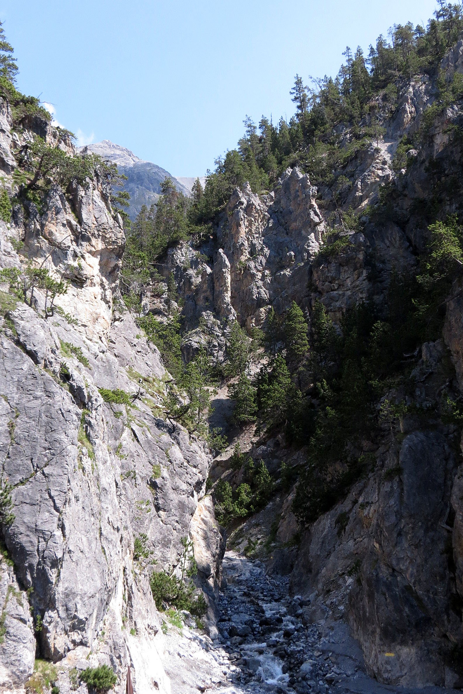 SWISS NATIONAL PARK - SUMMER 2013 (3).JPG