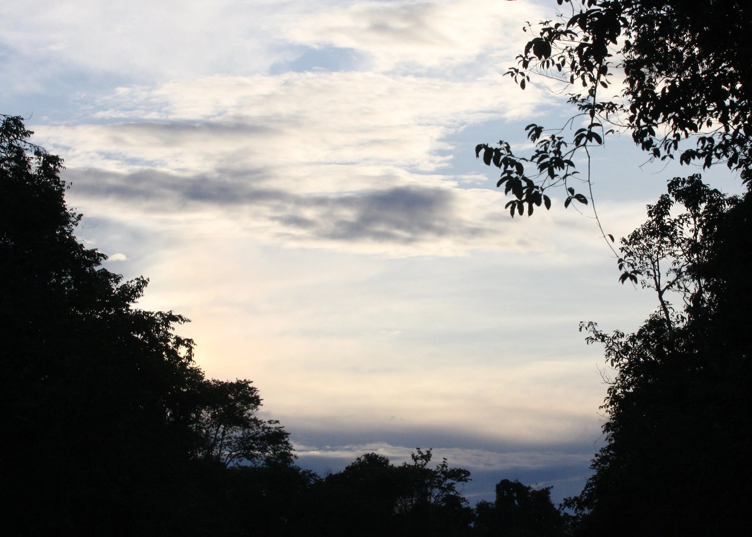 KINABATANGAN RIVER BORNEO - SUNSET.JPG