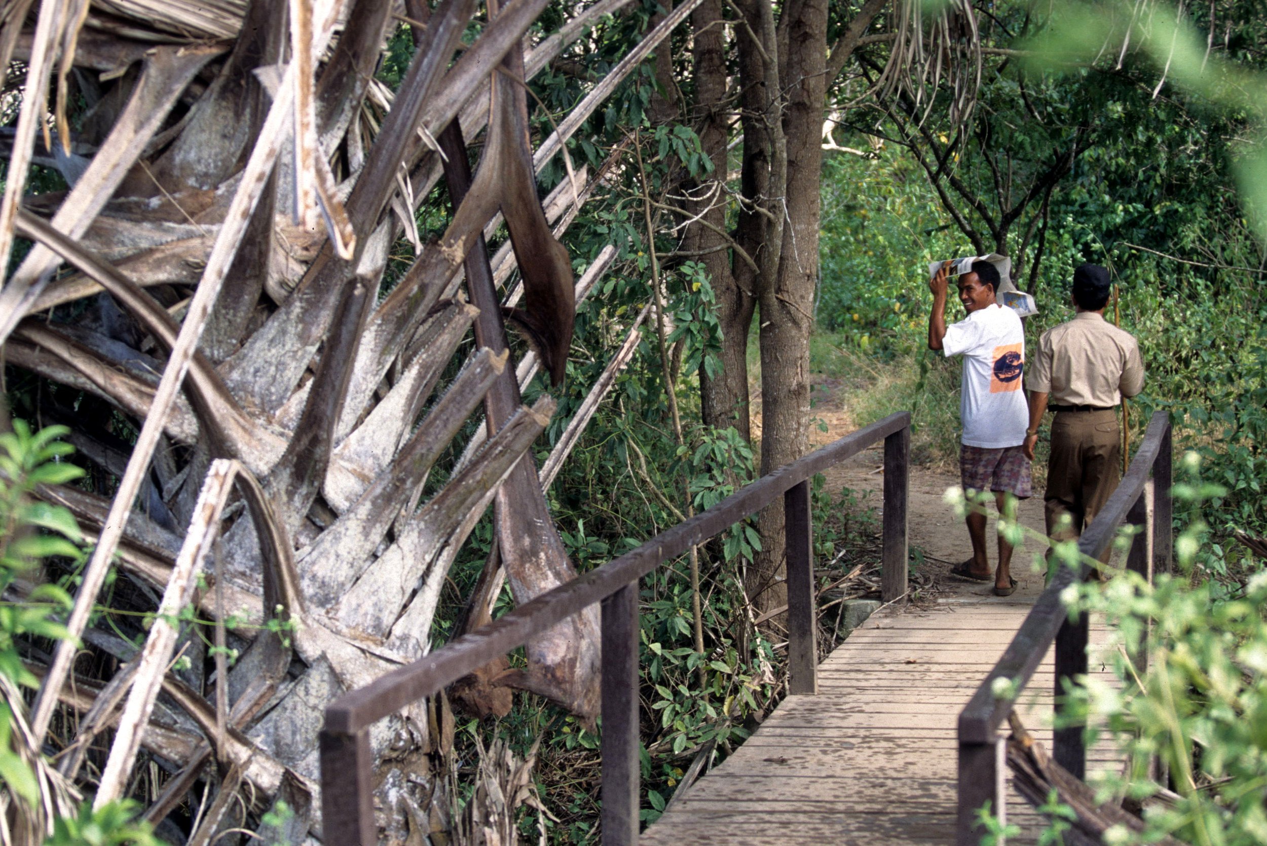 KOMODO NP - TREK.jpg
