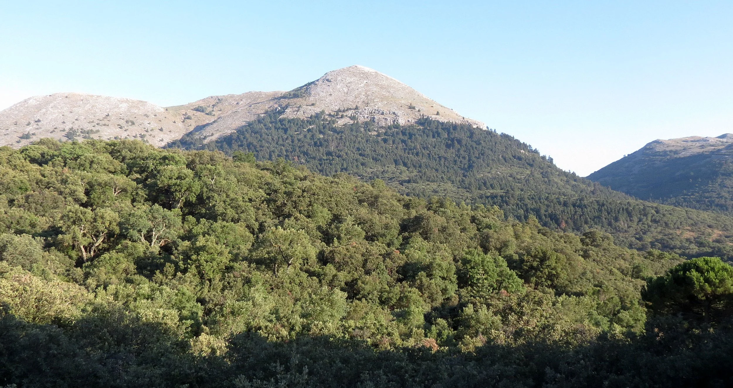 SIERRA DE LAS NIEVES NATIONAL PARK SPAIN (2).JPG