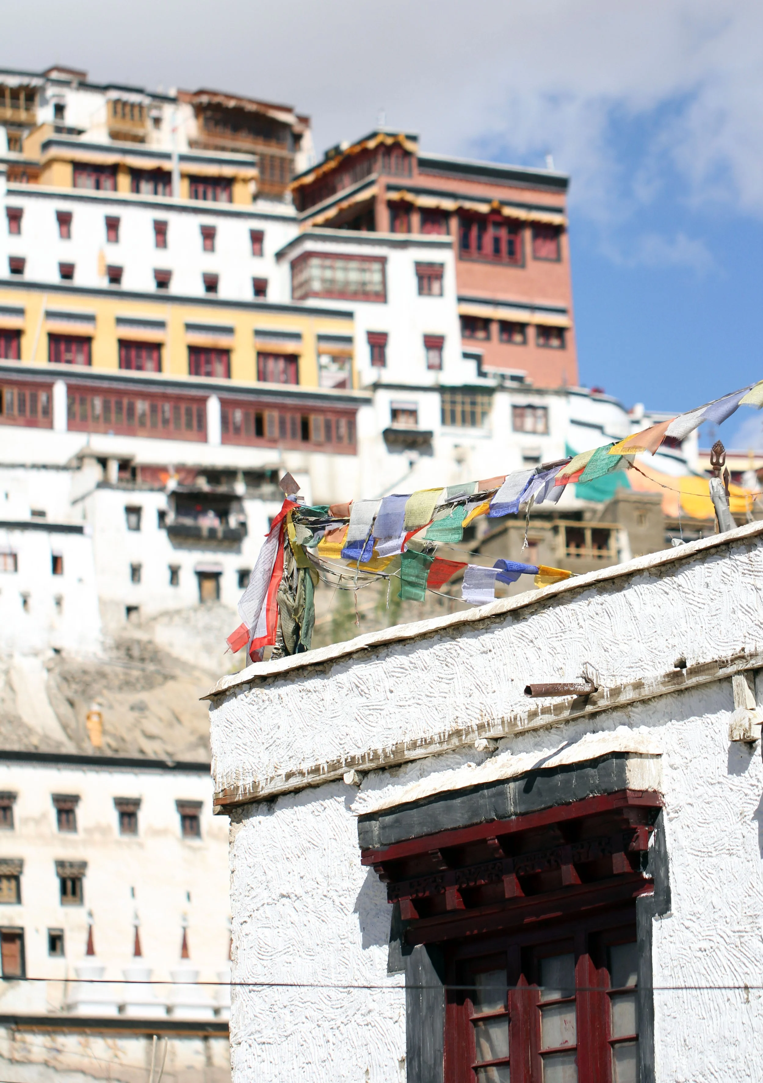 LEH - THIKSEY - LADAKH INDIA - SNOW LEOPARD EXPEDITION 2014 (5).JPG