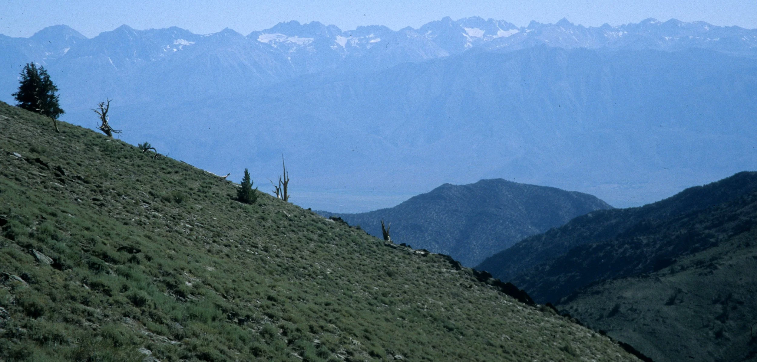 CALIFORNIA - WHITE MOUNTAINS - WRECK (10).jpg