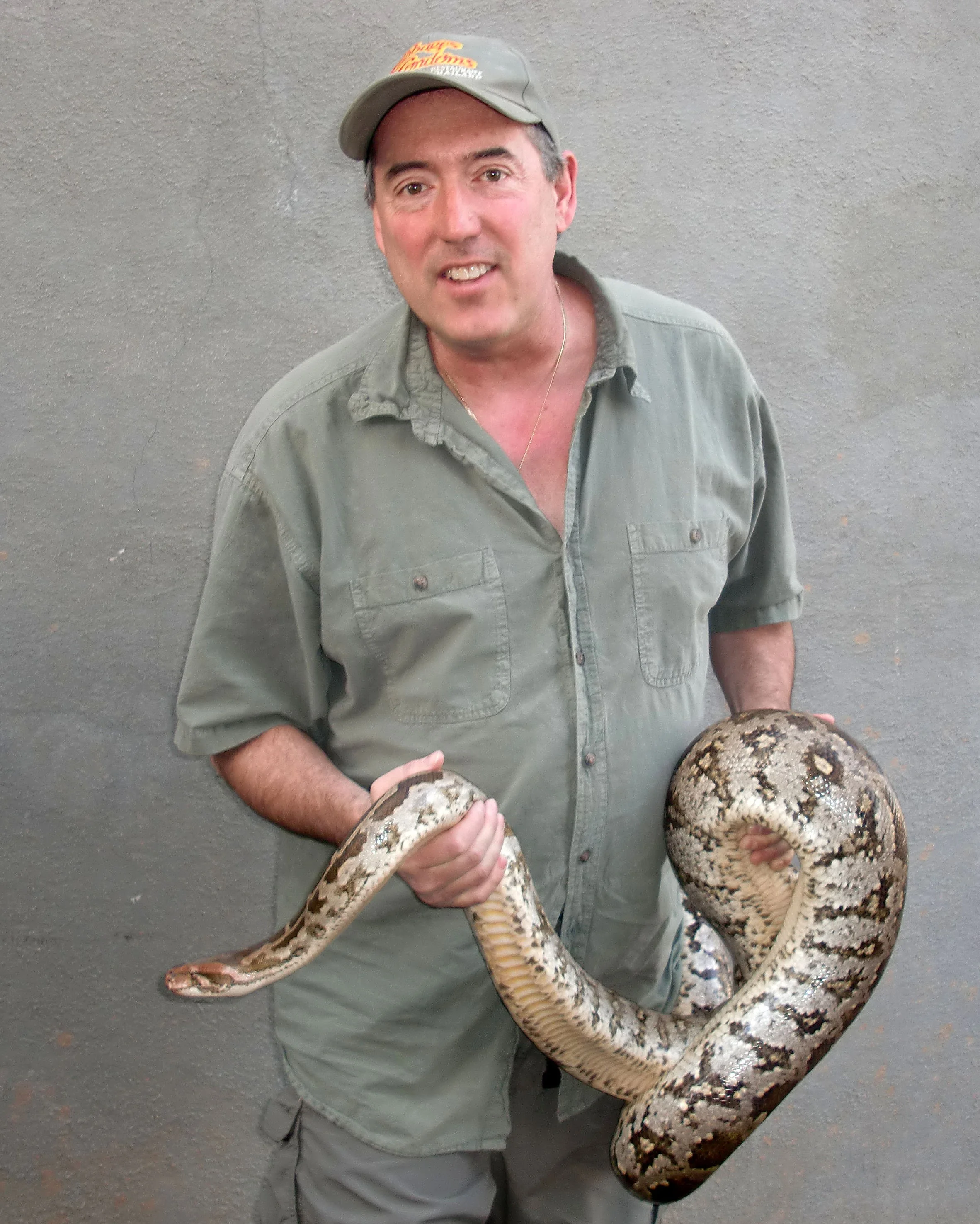 Python molurus - INDIAN ROCK PYTHON - GUJARAT INDIA (8).JPG