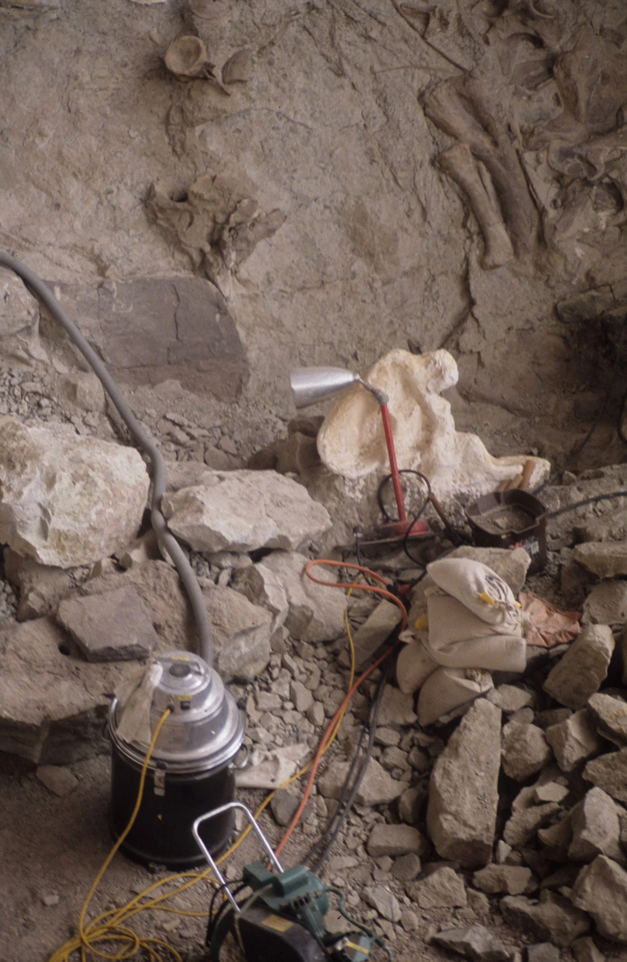 UTAH - DINOSAUR NM - BONES  (3).jpg