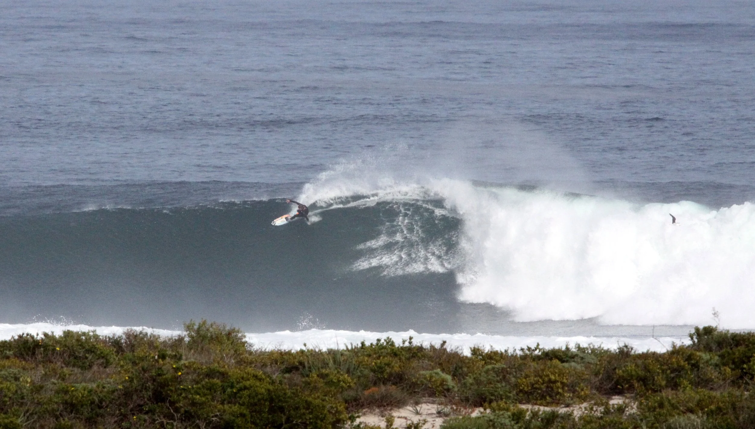LAMBERT'S BAY SOUTH AFRICA - SURF'S UP! (12).JPG
