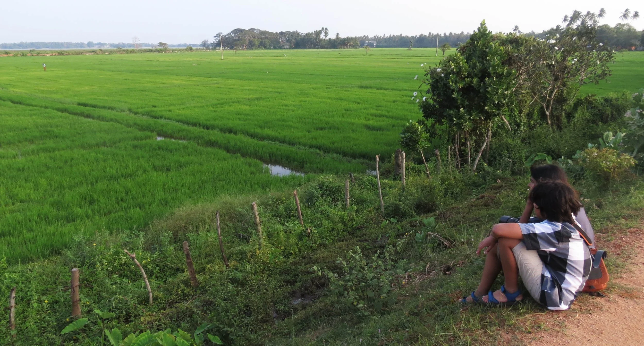 YALA NATIONAL PARK SRI LANKA - KIRINDA VILLAGE AREA (6).JPG