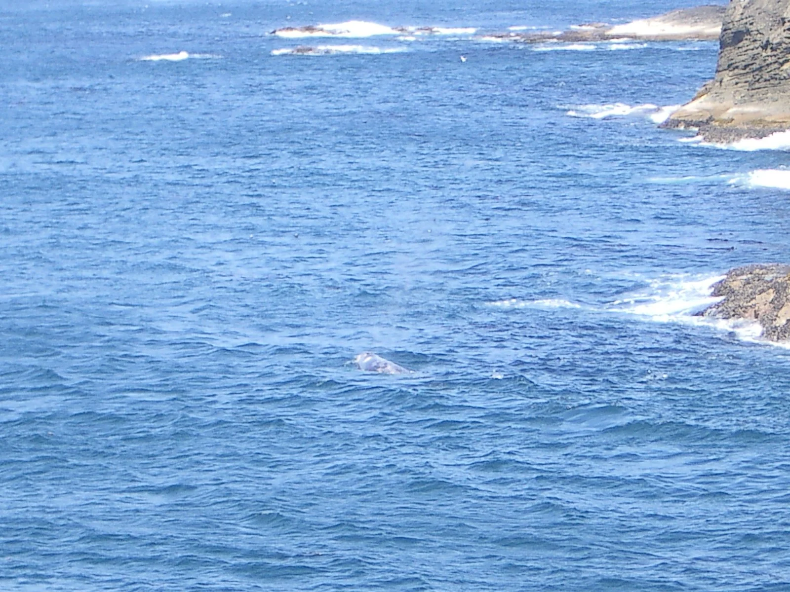 2003-7-31 FAMILY REUNION IN WASHINGTON AND CANADA (133).JPG