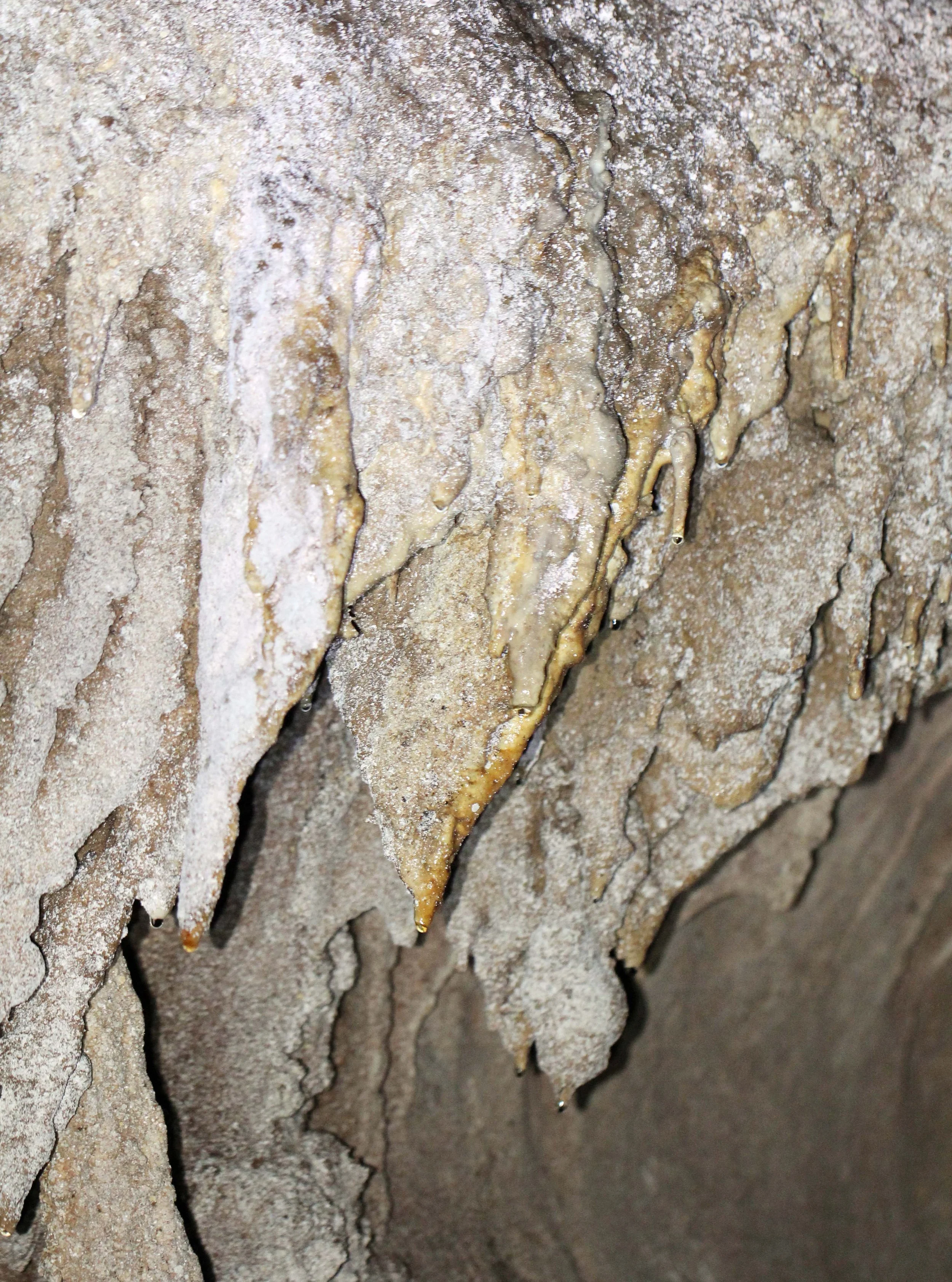 2014 Namthalu Cave Khao Sok National Park Surat Thani (33).JPG