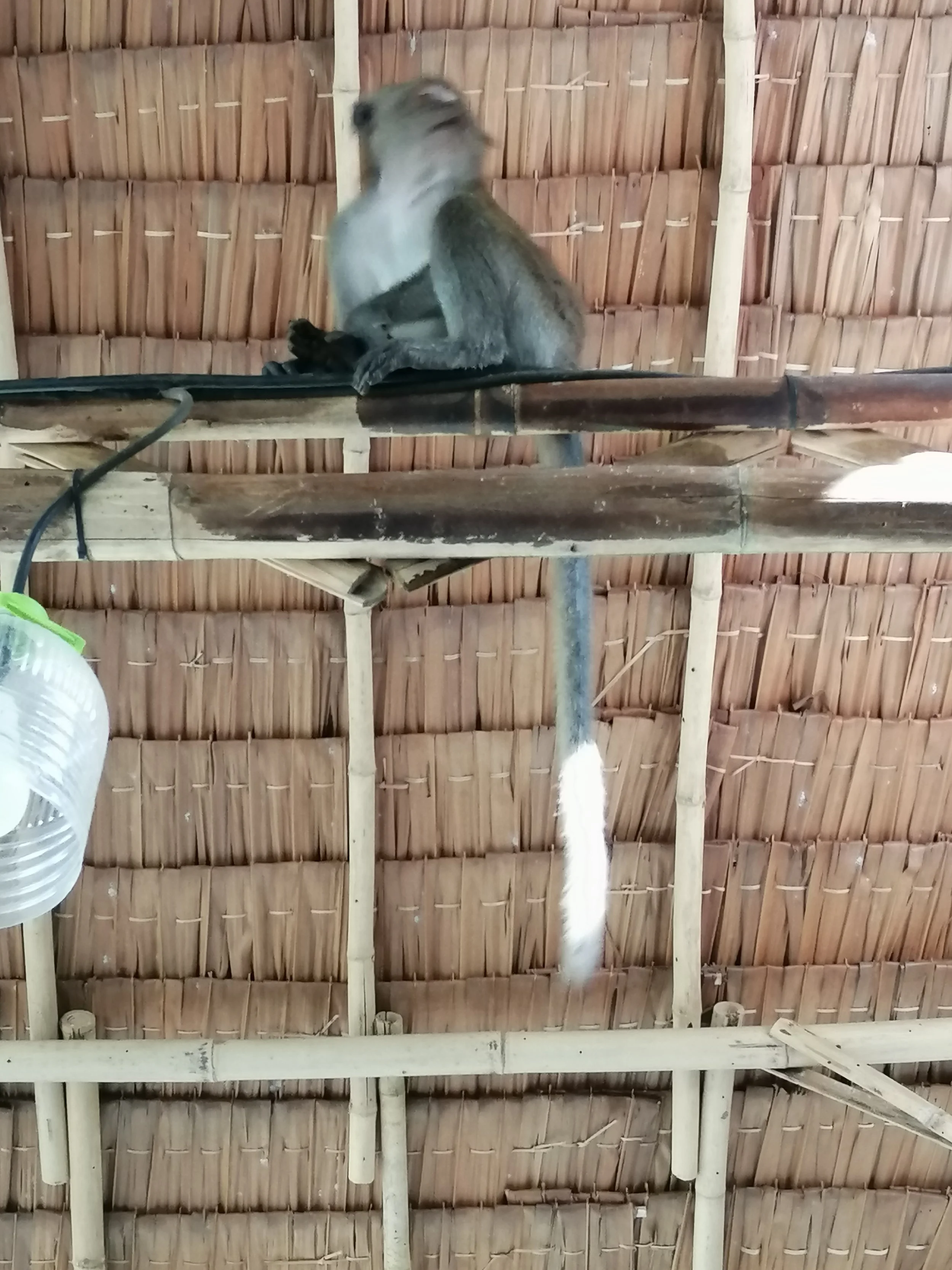 2019 Koh Lanta Summer Trip (7).jpg