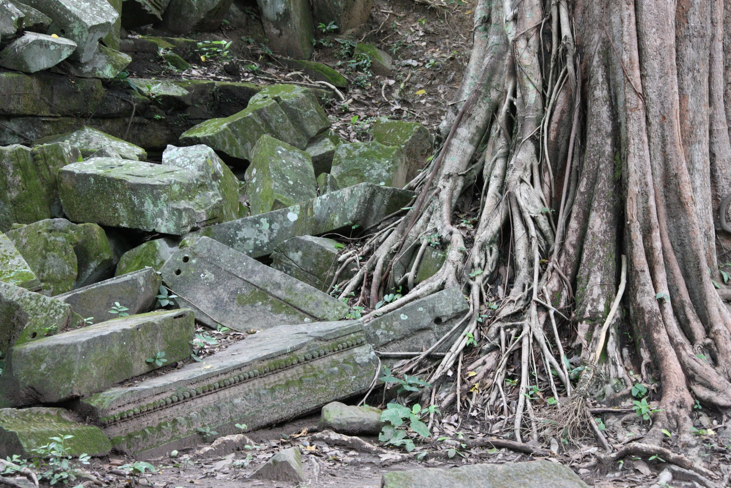 BENG MEALEA - CAMBODIA - JULY 2010 (11).JPG