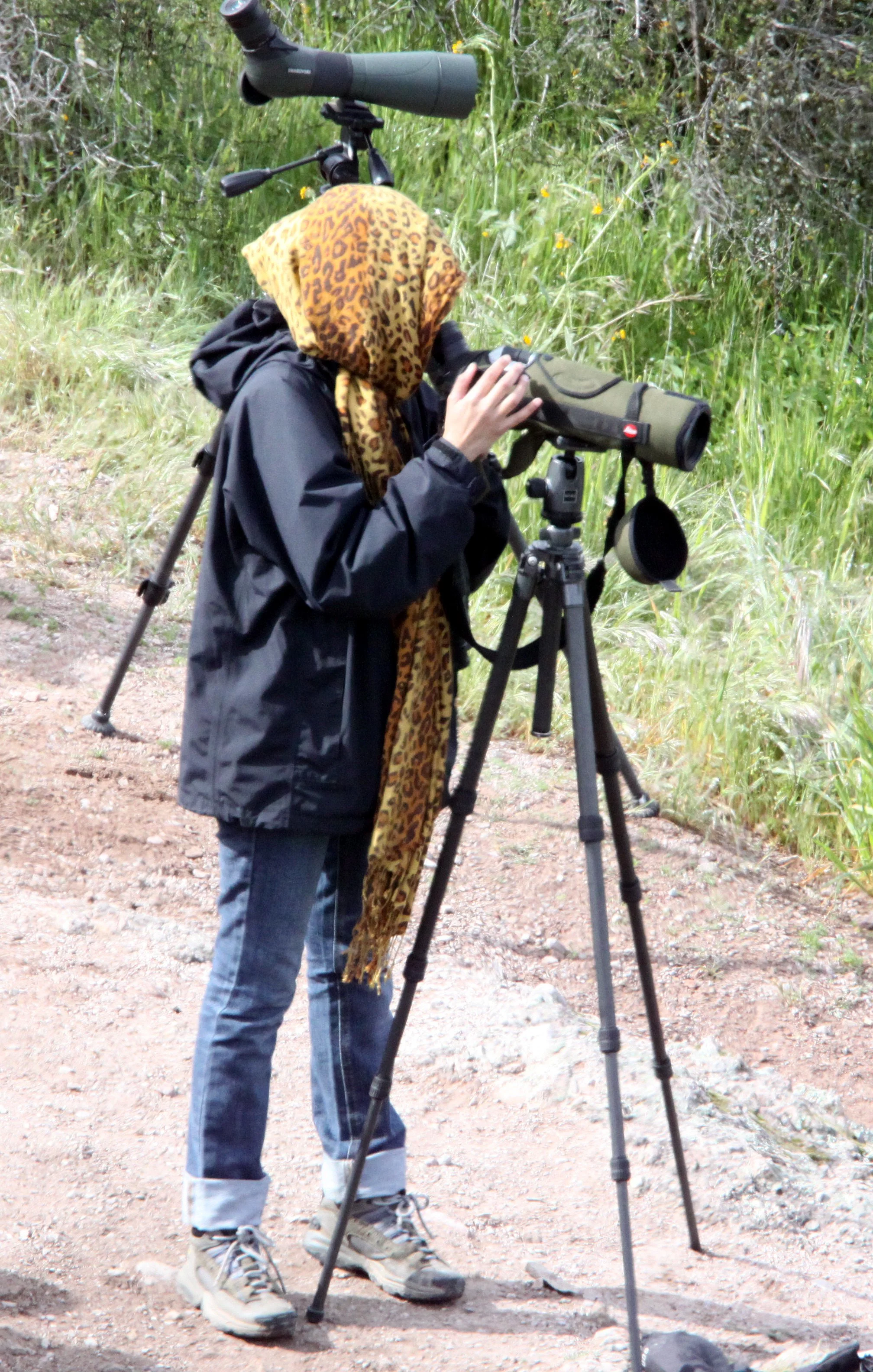2010-4-3 PINNACLES NATIONAL MONUMENT CALIFORNIA - ROADTRIP 2010 (2).JPG