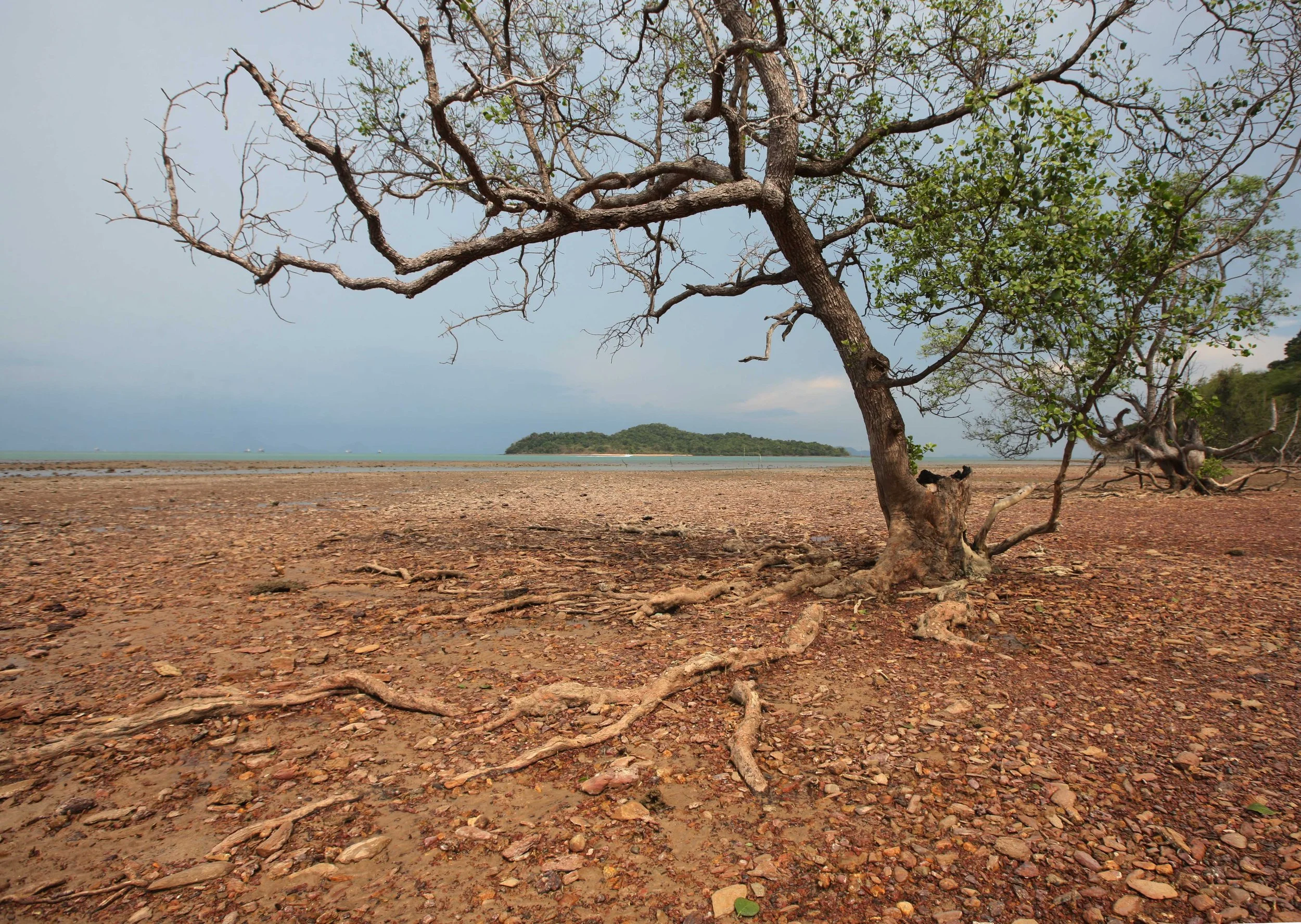 2015 Koh Lanta Songkran with friends from ISB (84).JPG
