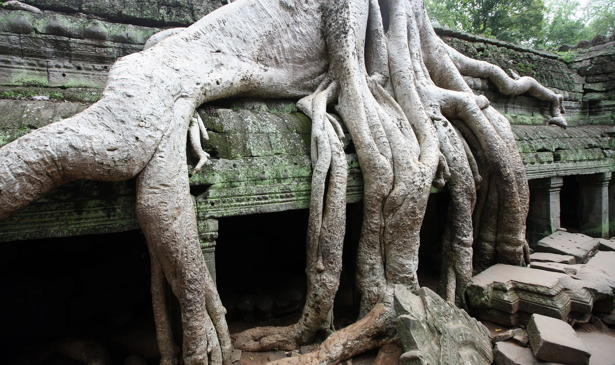 TA PROHM TEMPLE CAMBODIA - JULY 2010 (22).JPG