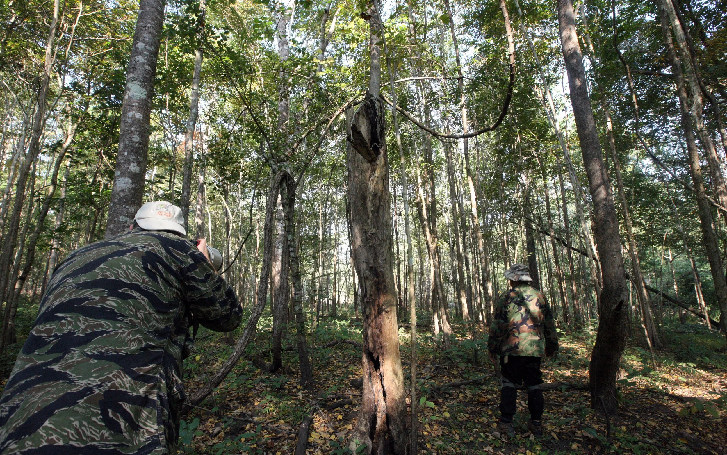 HUAI KHA KHAENG NATURE RESERVE - HEADQUARTERS - THAILAND (80).JPG