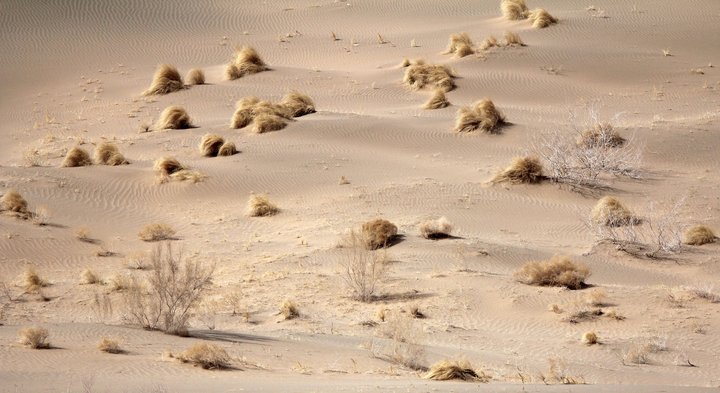 GANSU - DUNES SOUTH OF DUNHUANG - CHINA (40).JPG