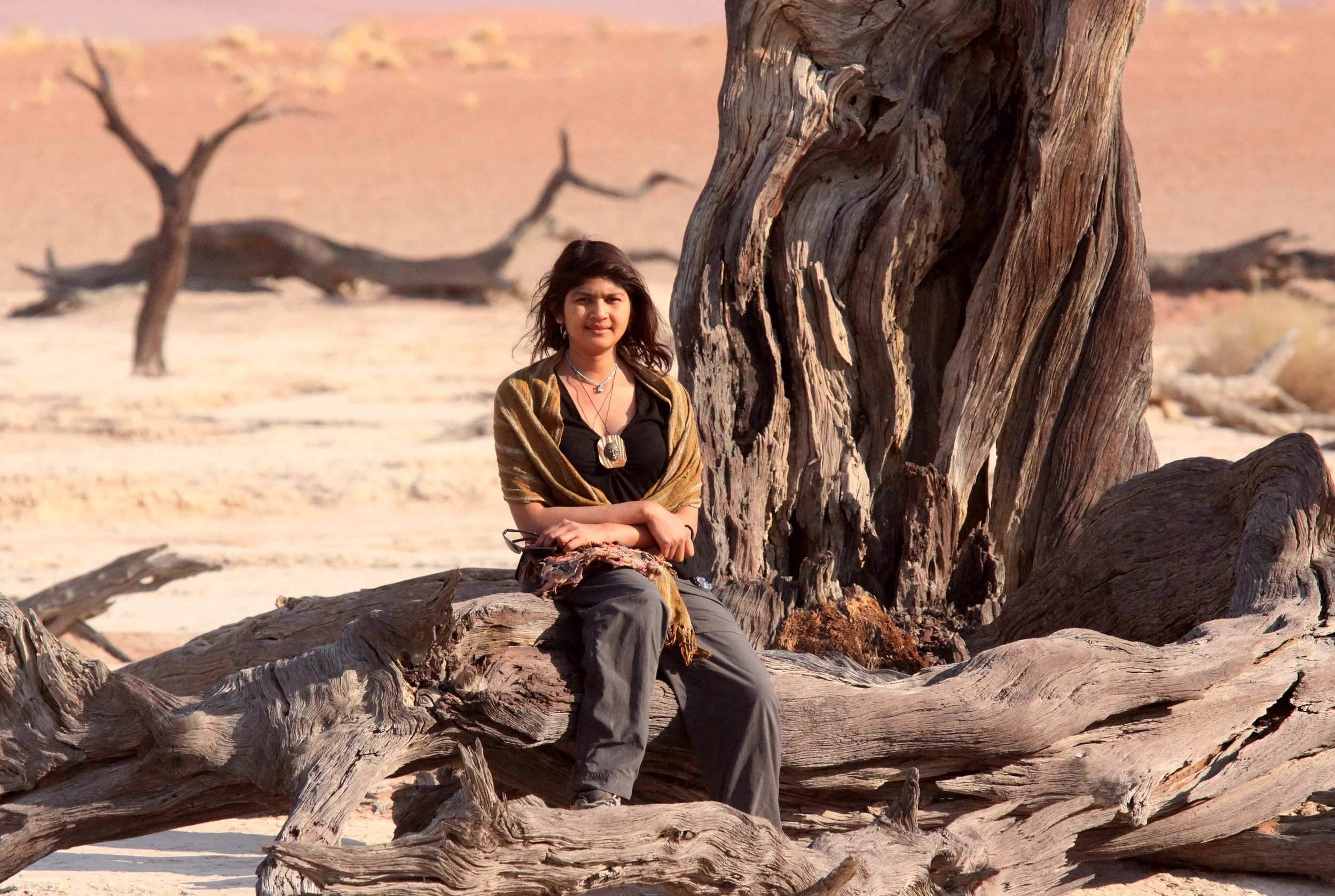 SOSSUSVLEI, NAMIB NAUKLUFT NATIONAL PARK, NAMIBIA - DEAD VLEI (39).JPG