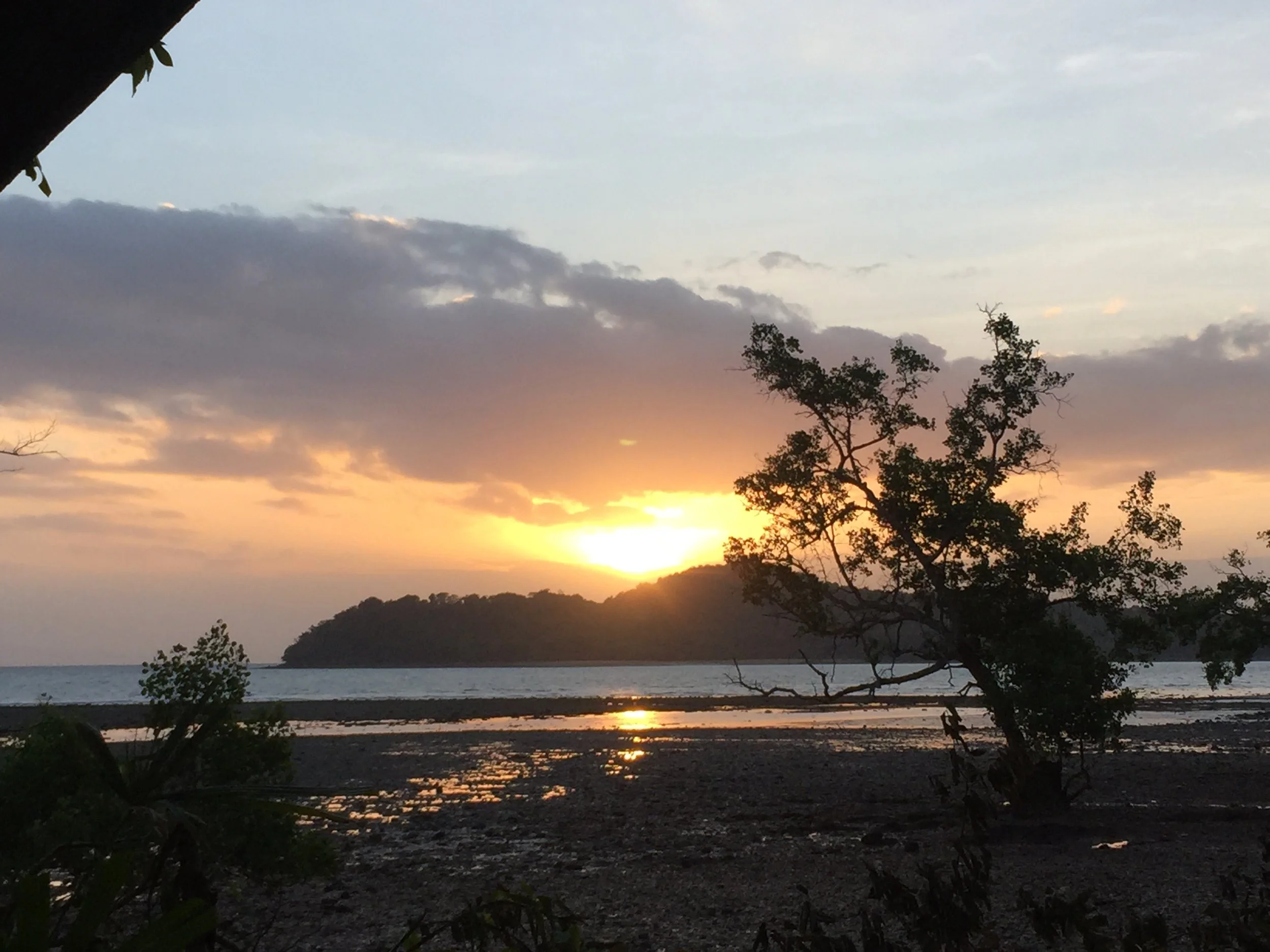 2015 Koh Lanta Garden & Nature (289).JPG