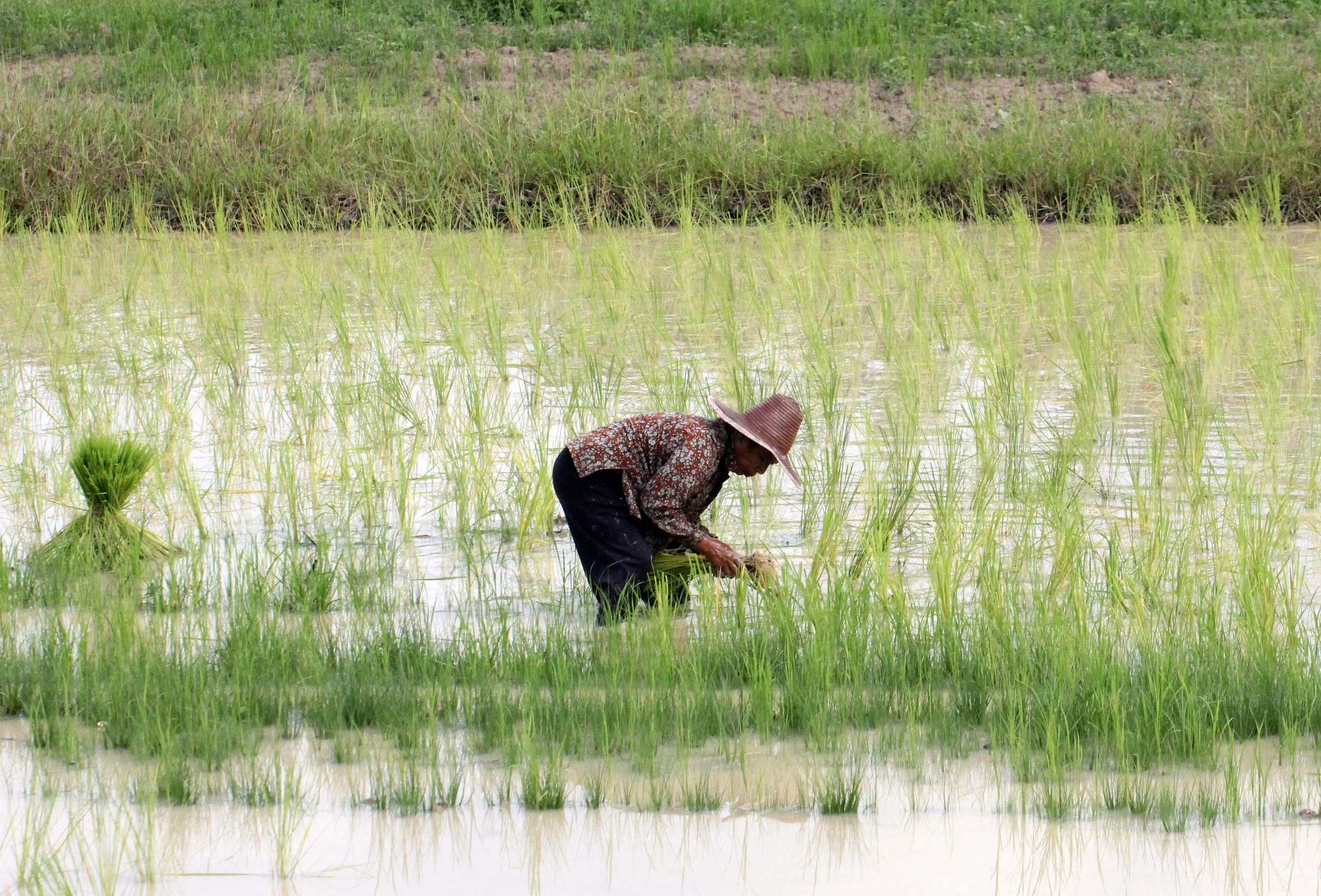 2013 in Nakhonsithammarat and some Krabi with Family (220).JPG