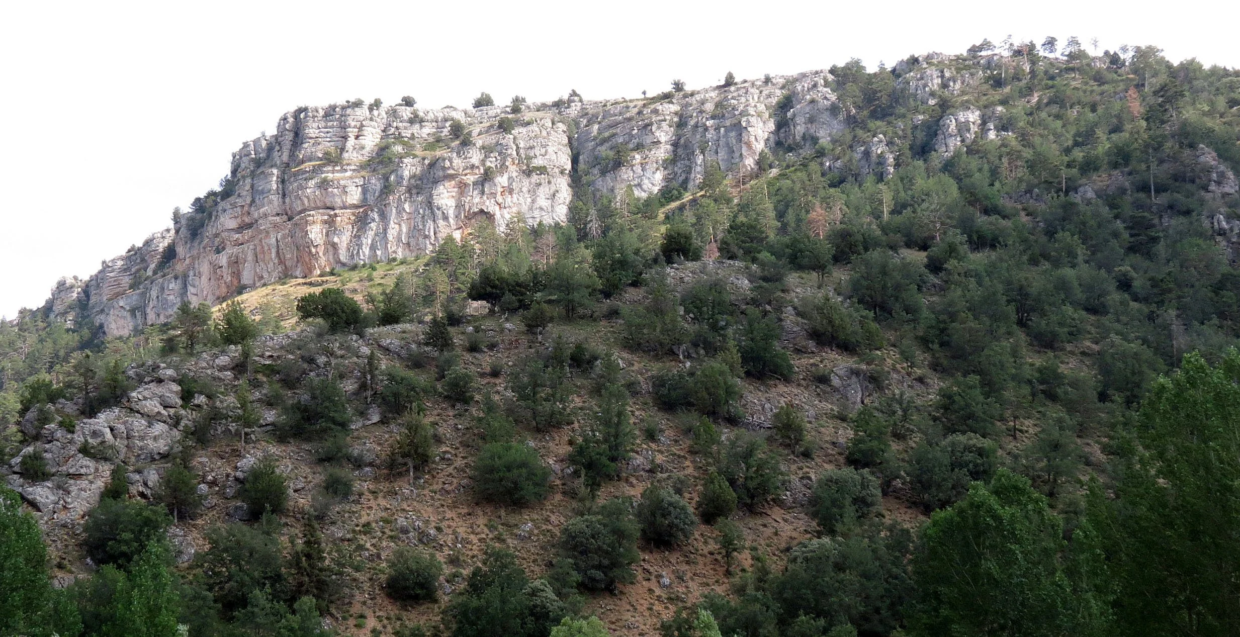 SERRENIA DE CUENCA NATIONAL PARK SPAIN (1).JPG
