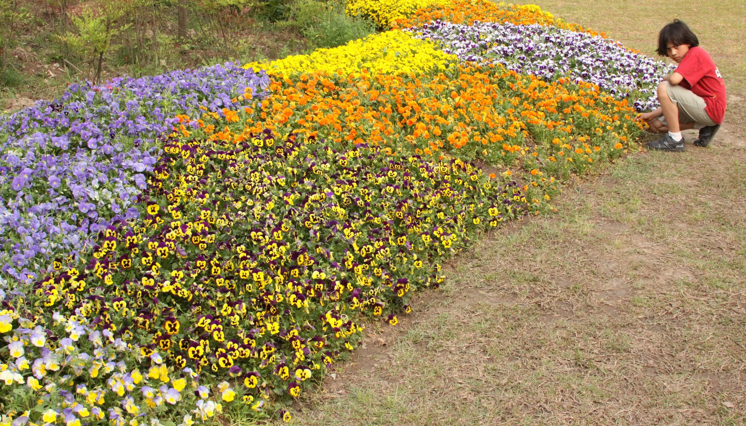 2011-5-6 SHANGHAI ZOO (20).JPG